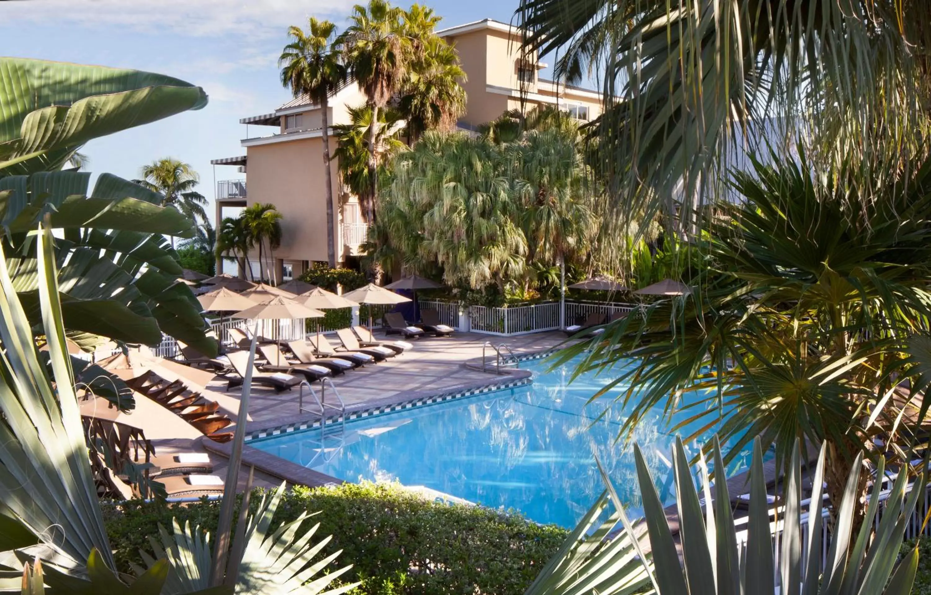 Swimming pool in Pier House Resort & Spa Swimming pool in Pier House Resort & Spa