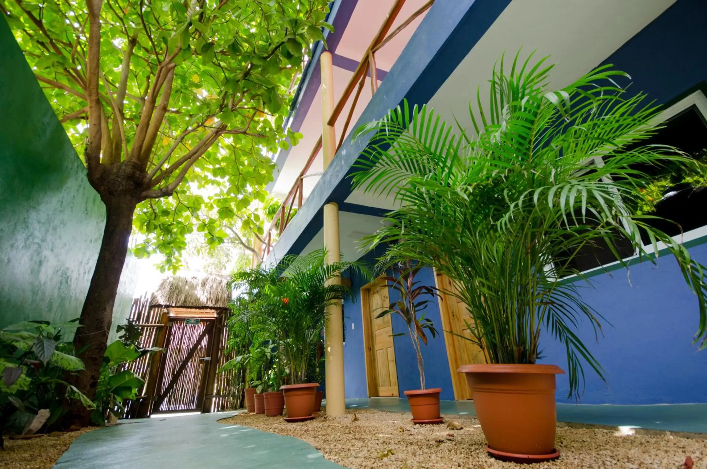 Garden, Property Building in Casa Almendro