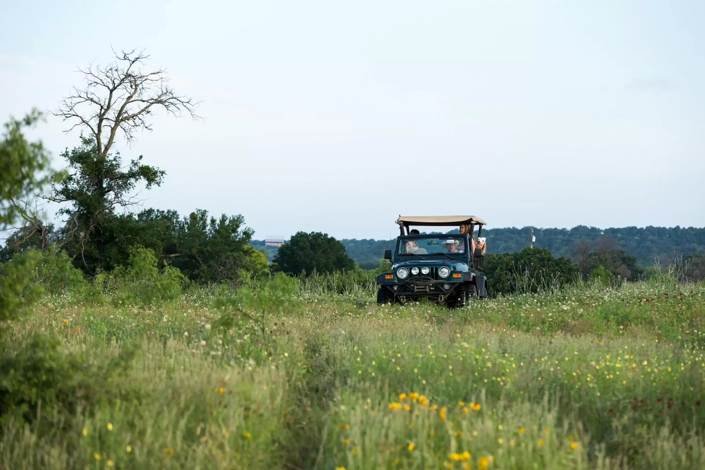 Natural landscape in Wildcatter Ranch and Resort