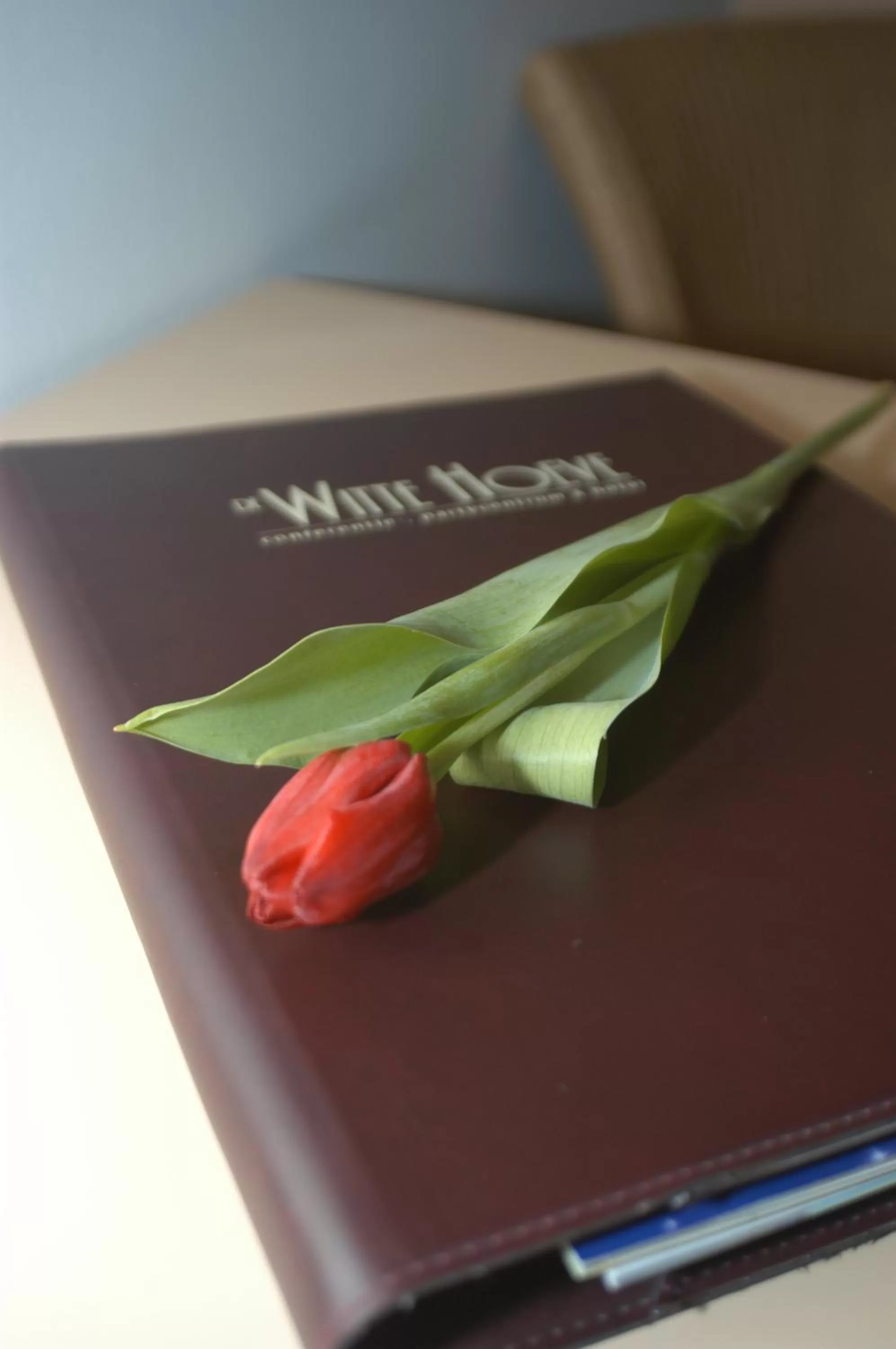 Other in De Witte Hoeve