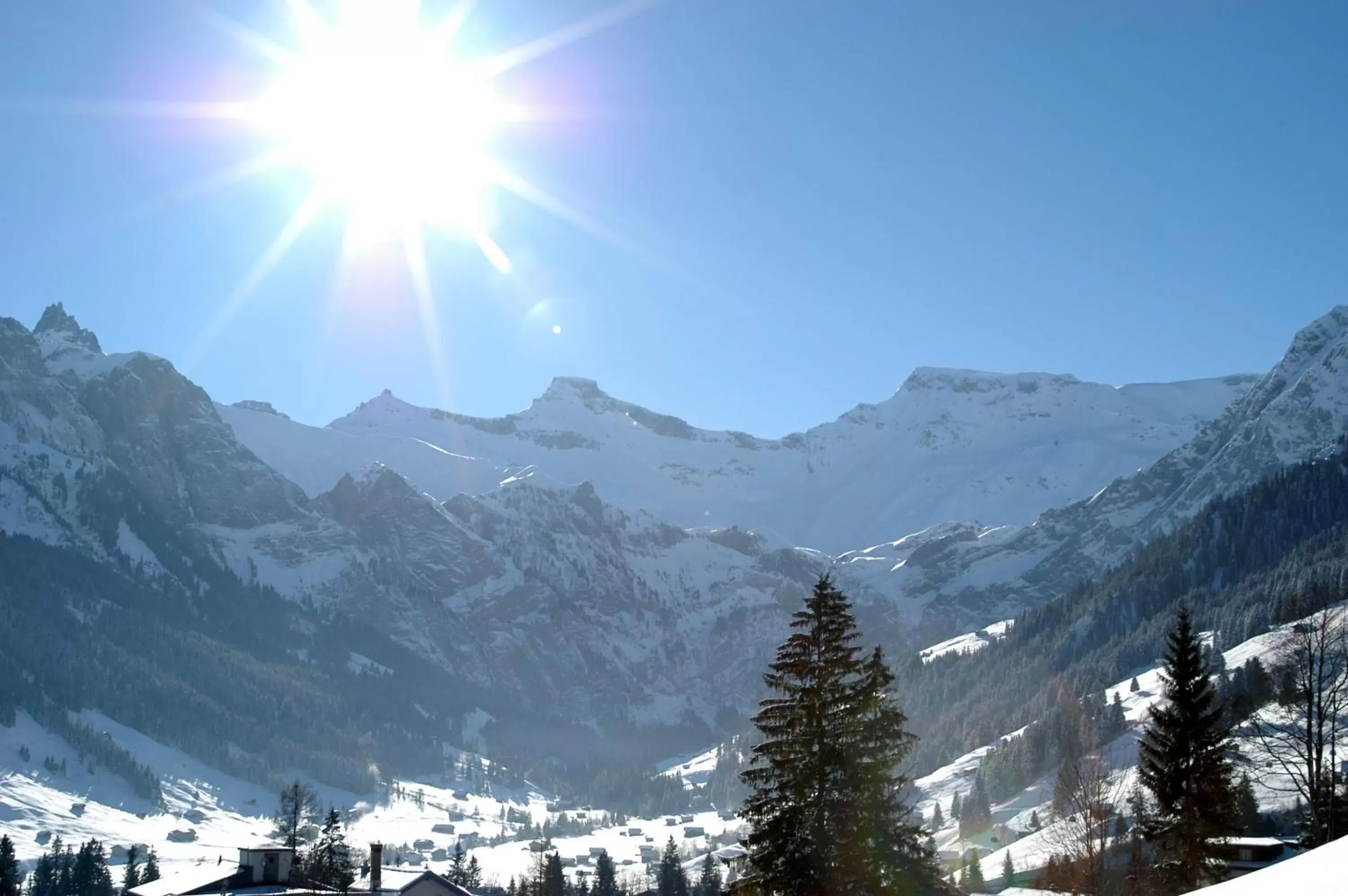 Natural landscape, Winter in Hotel Steinmattli