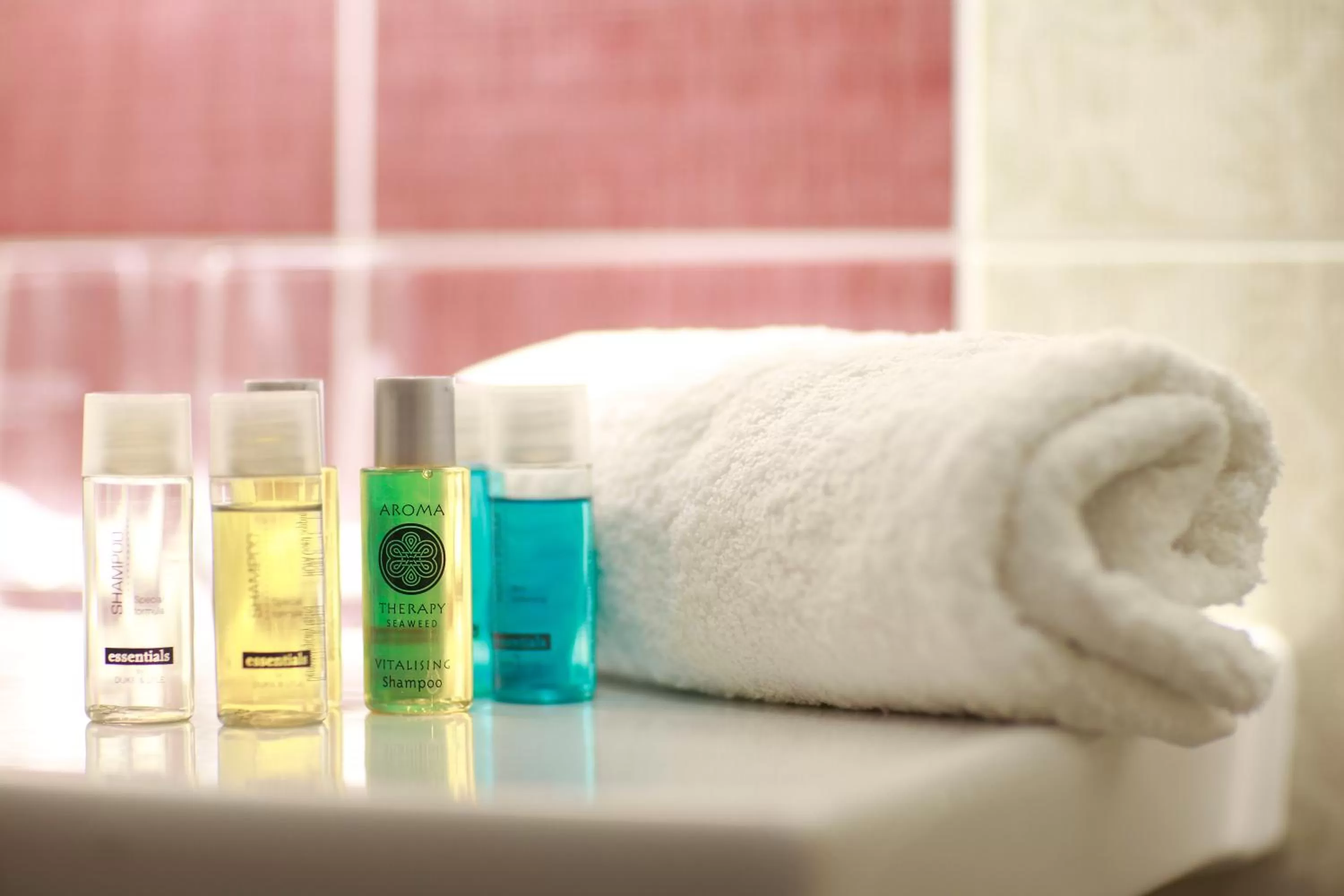 Toilet in Hotel Raca