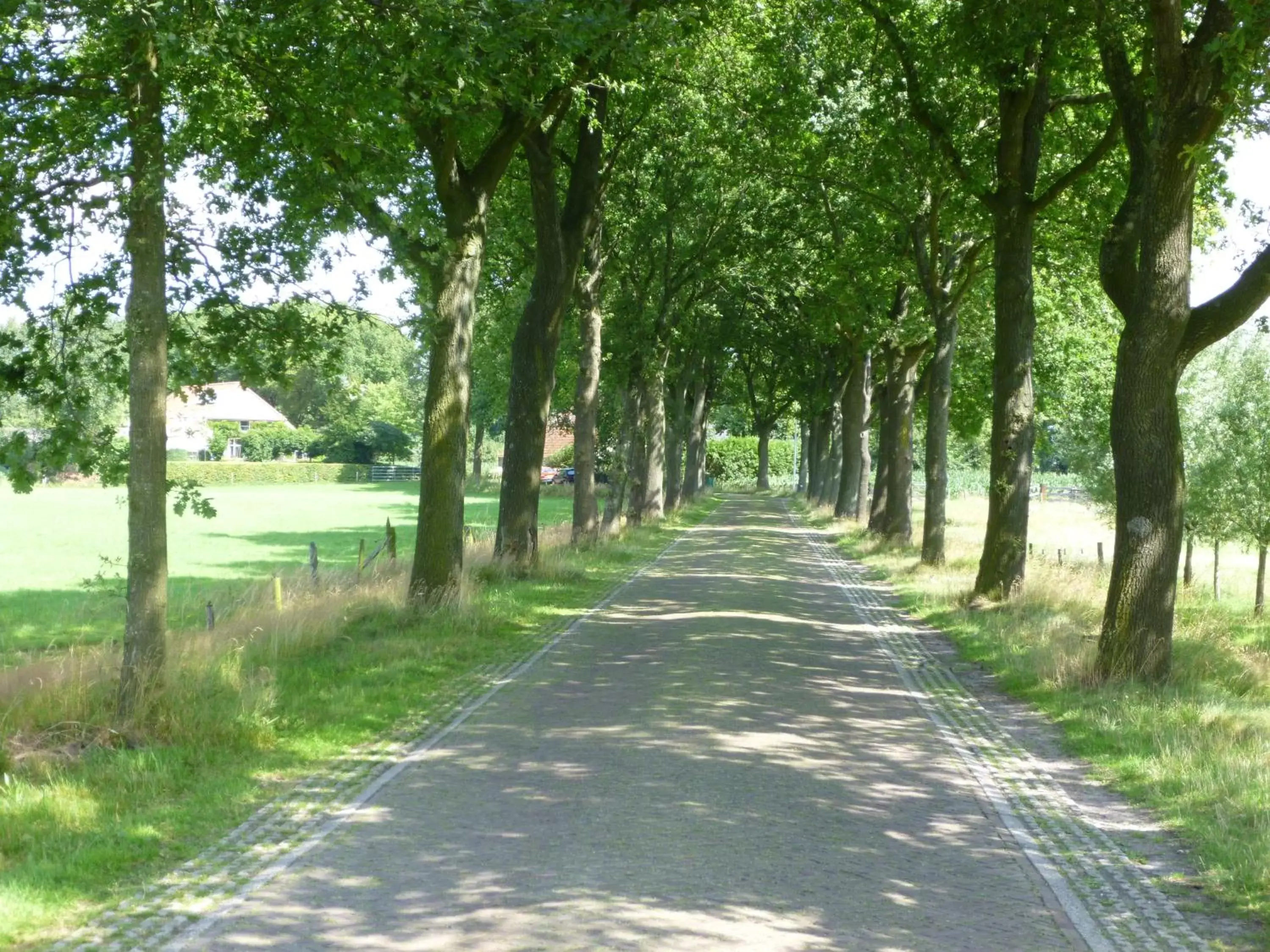 Neighbourhood in De Langenlee