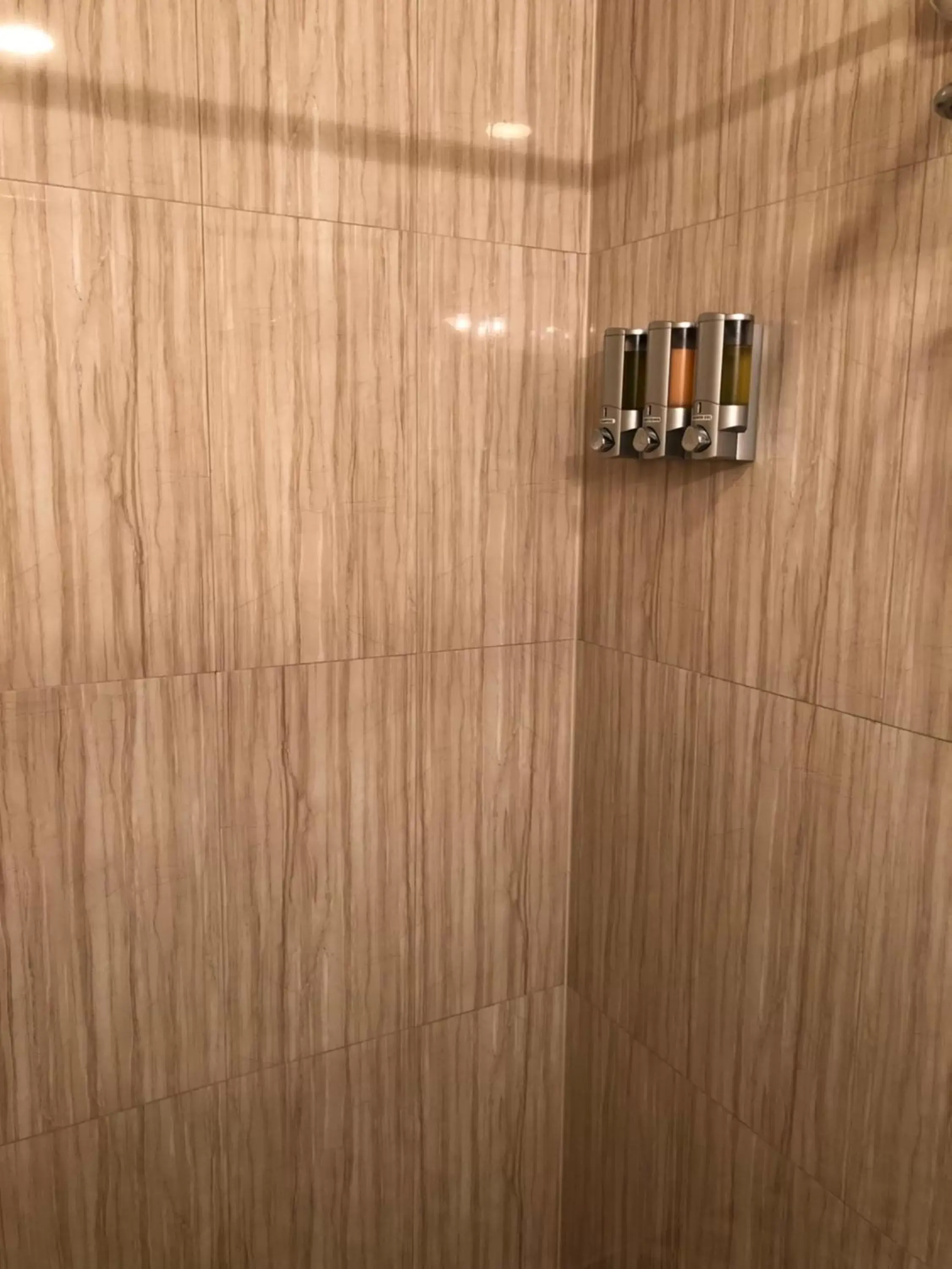 Shower, Bathroom in Grandview Hotel New York