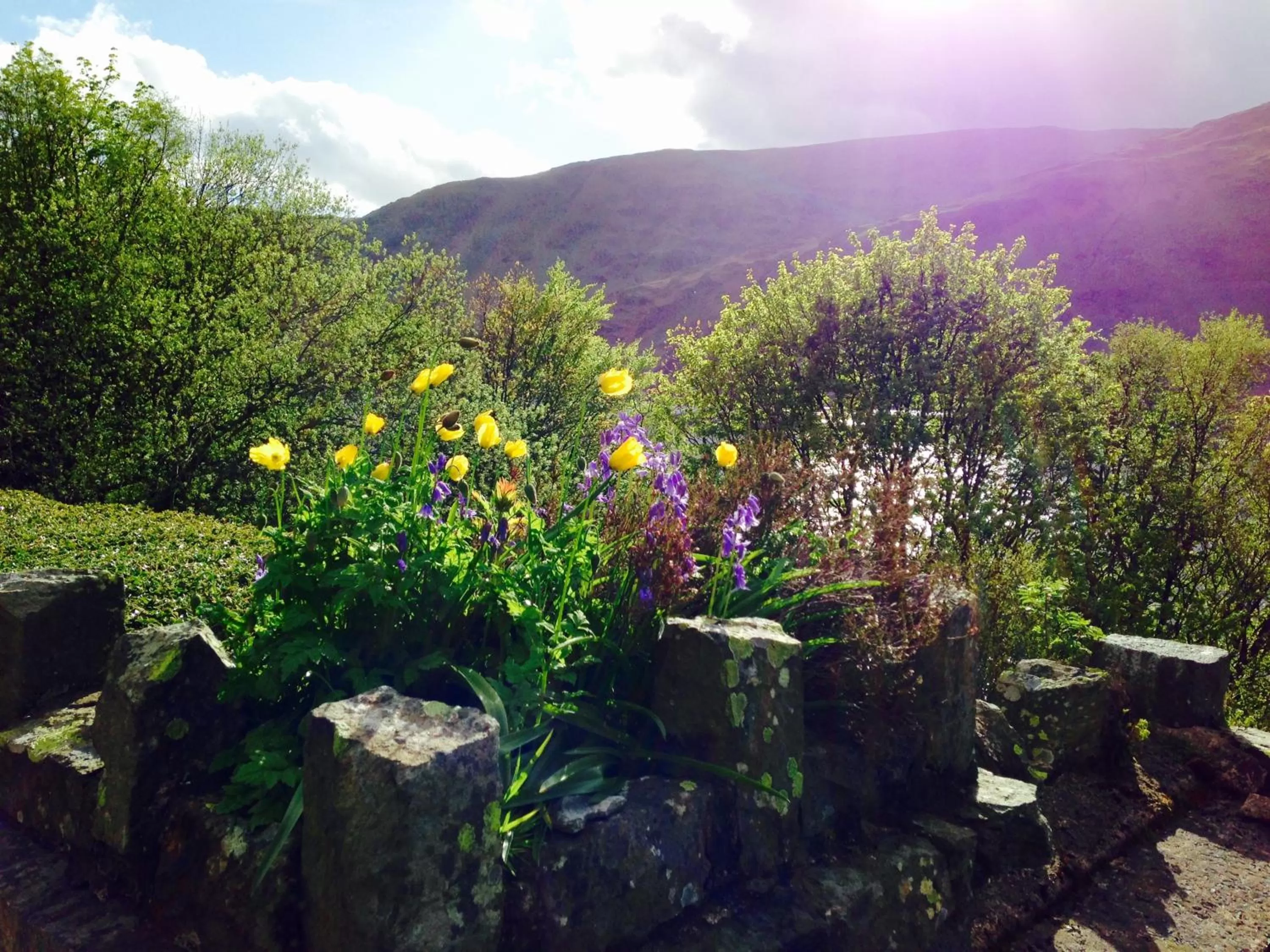 Garden view in Haweswater Hotel