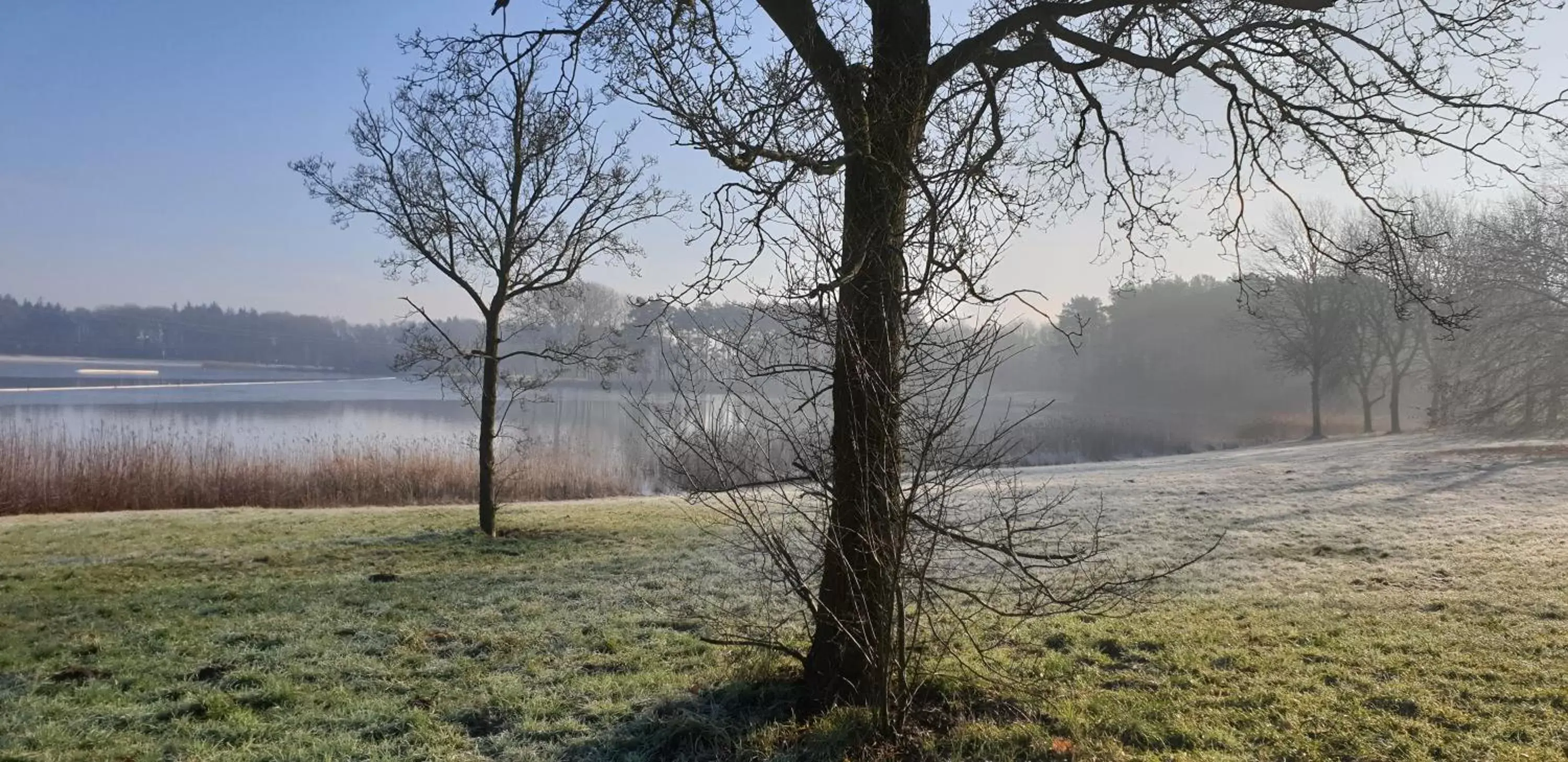 Natural landscape in Guesthouse Het Gouden Eiland