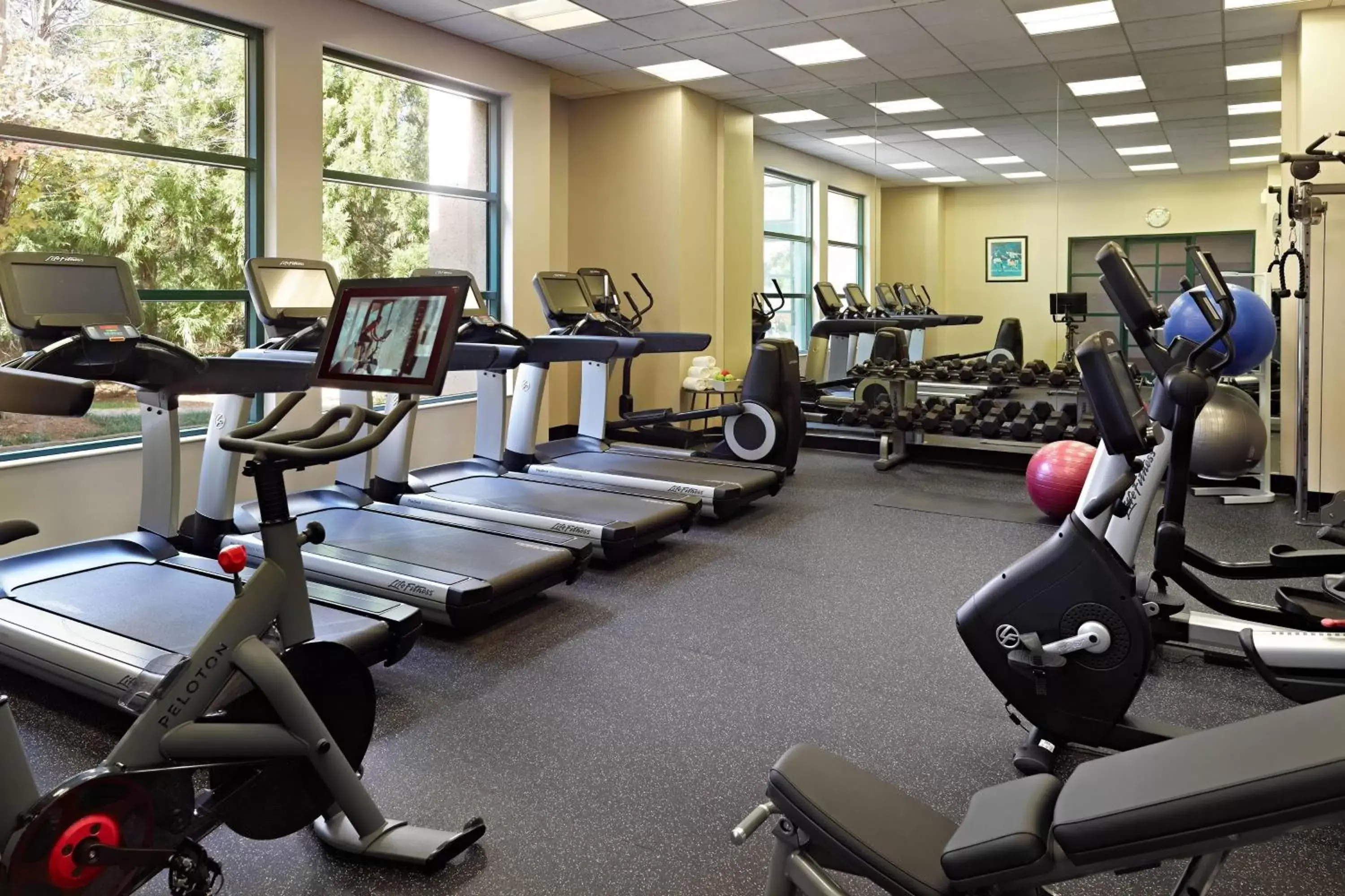 Fitness centre/facilities, Fitness Center/Facilities in Atlanta Marriott Alpharetta