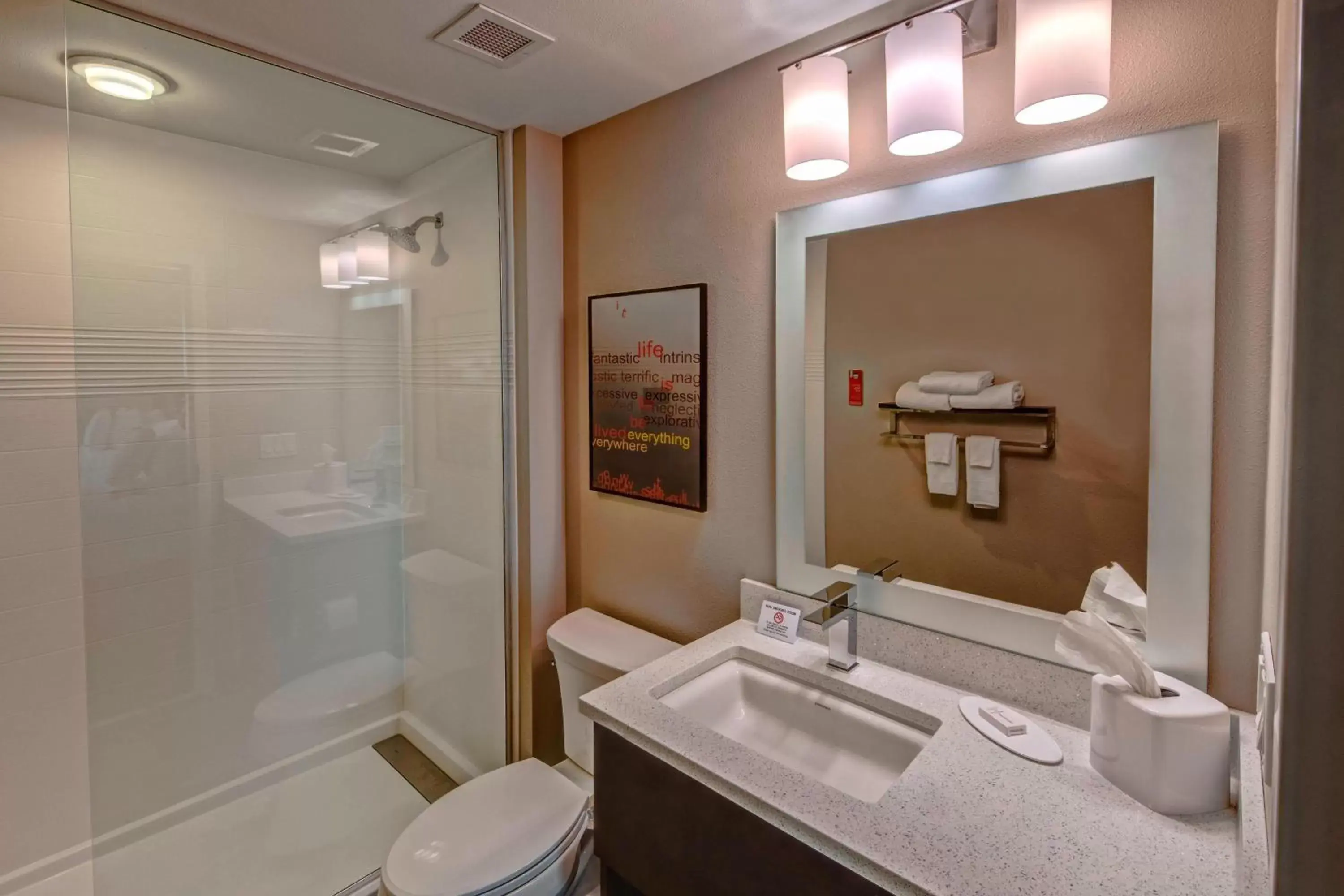 Bathroom in TownePlace Suites by Marriott Hot Springs