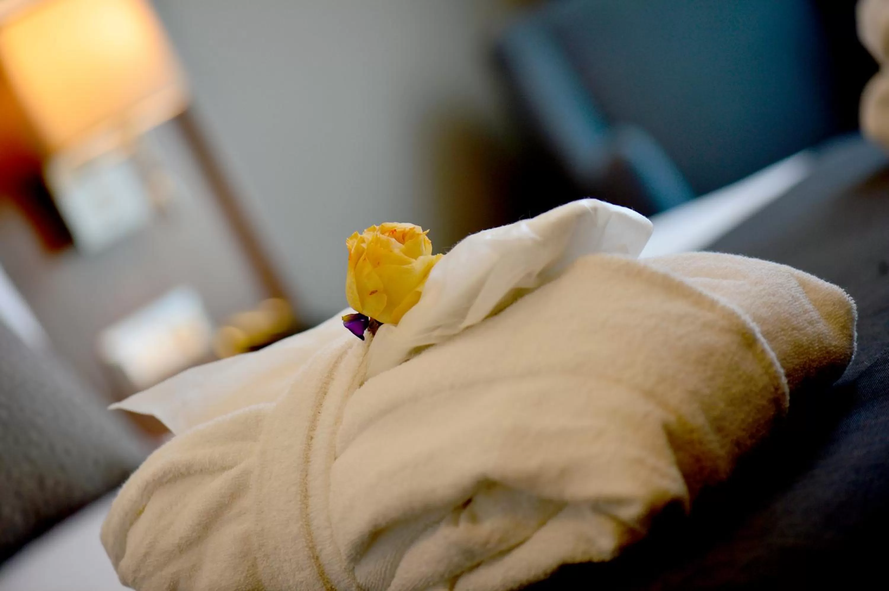 Bed in Holiday Inn Bursa - City Centre by IHG