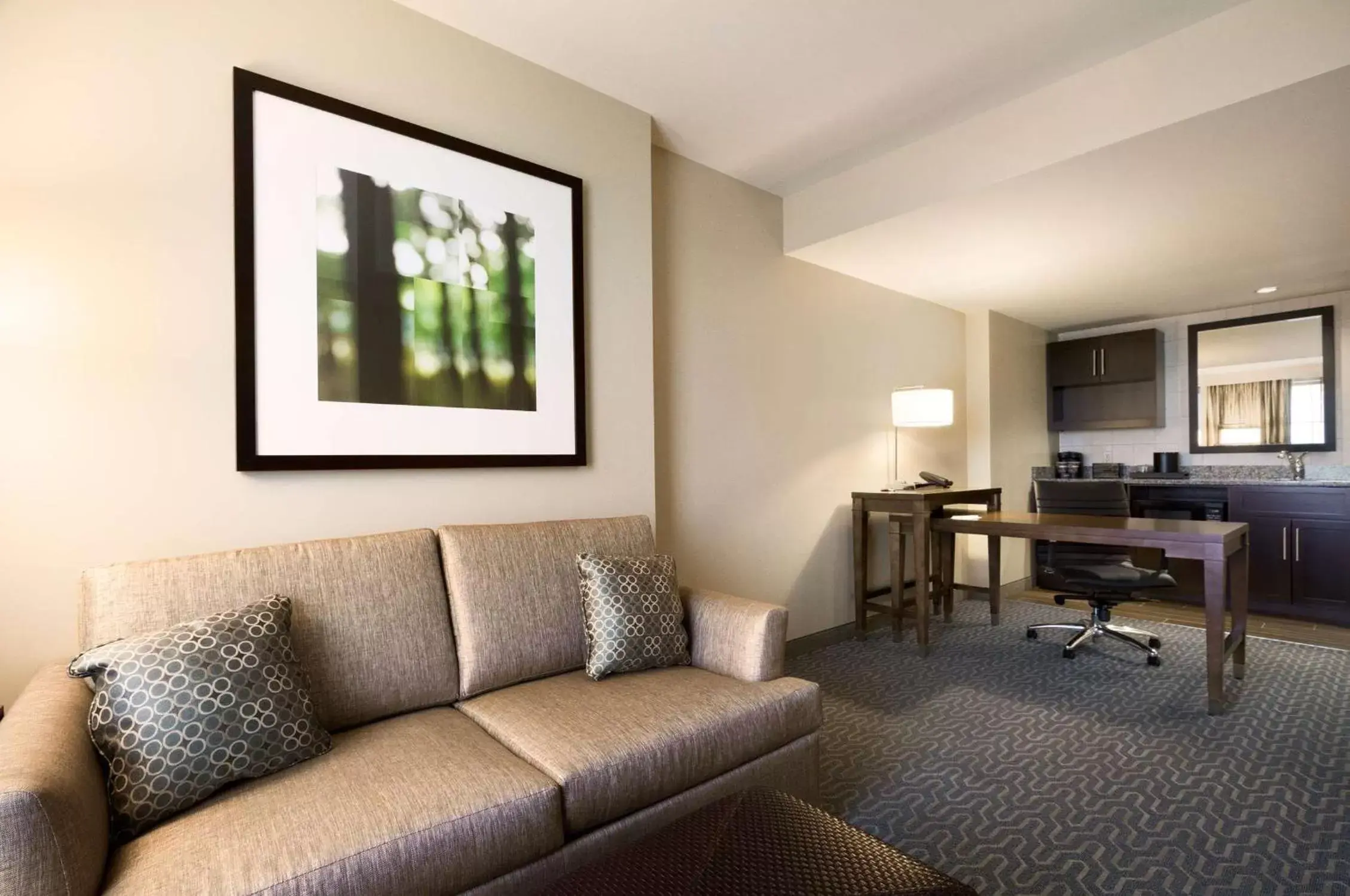 Bed, Seating Area in Embassy Suites Springfield