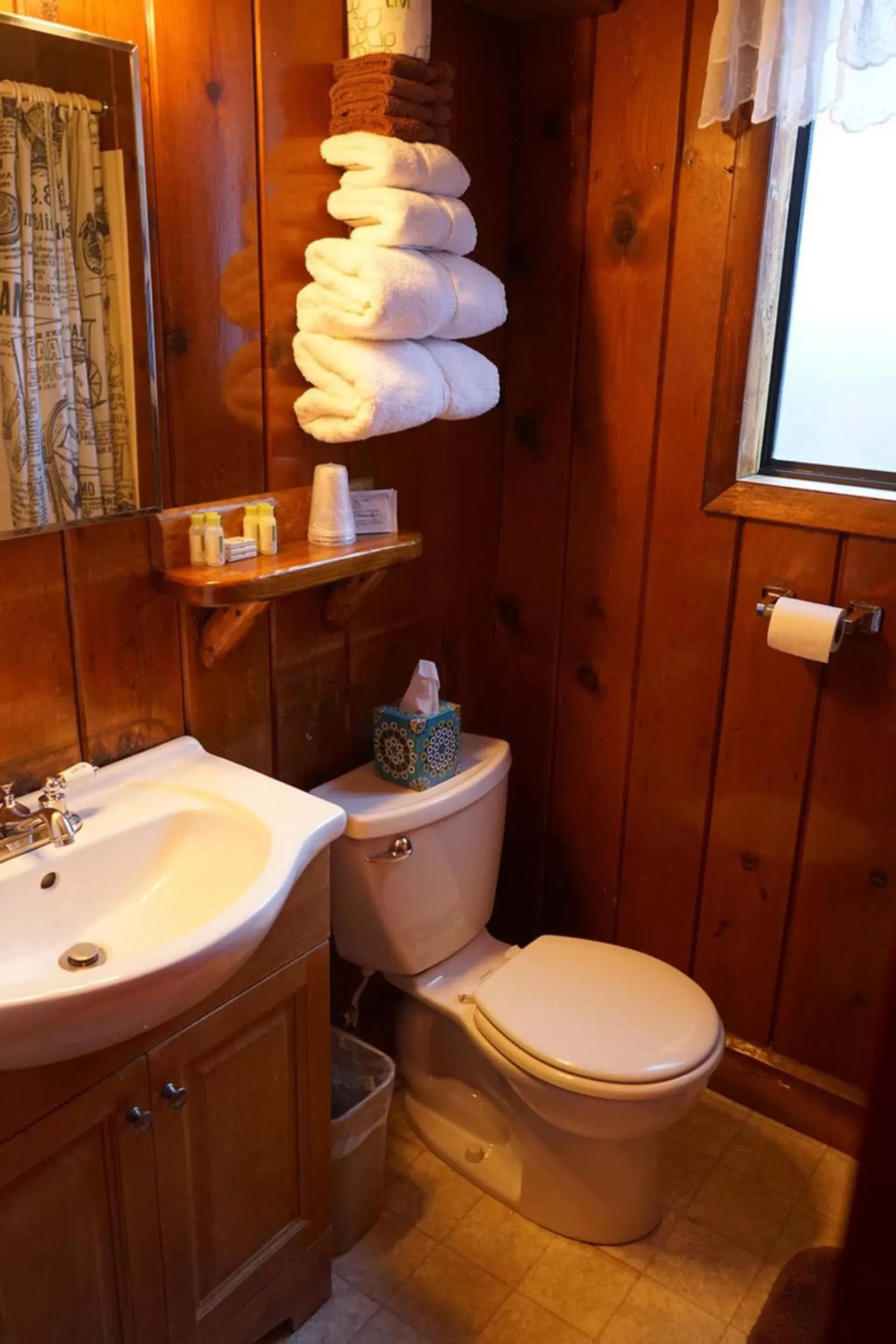 Bathroom in Foot of the Mountain Motel