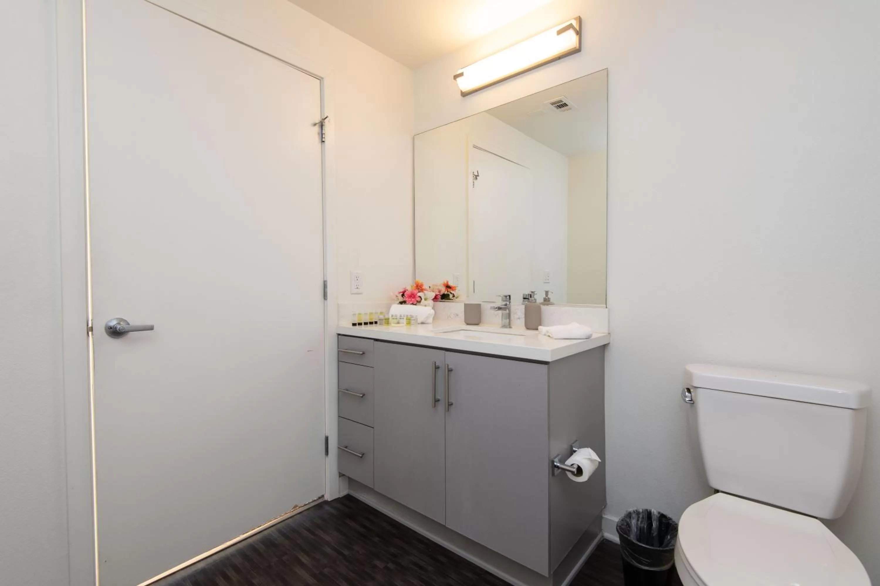 Modern Apartment Rentals