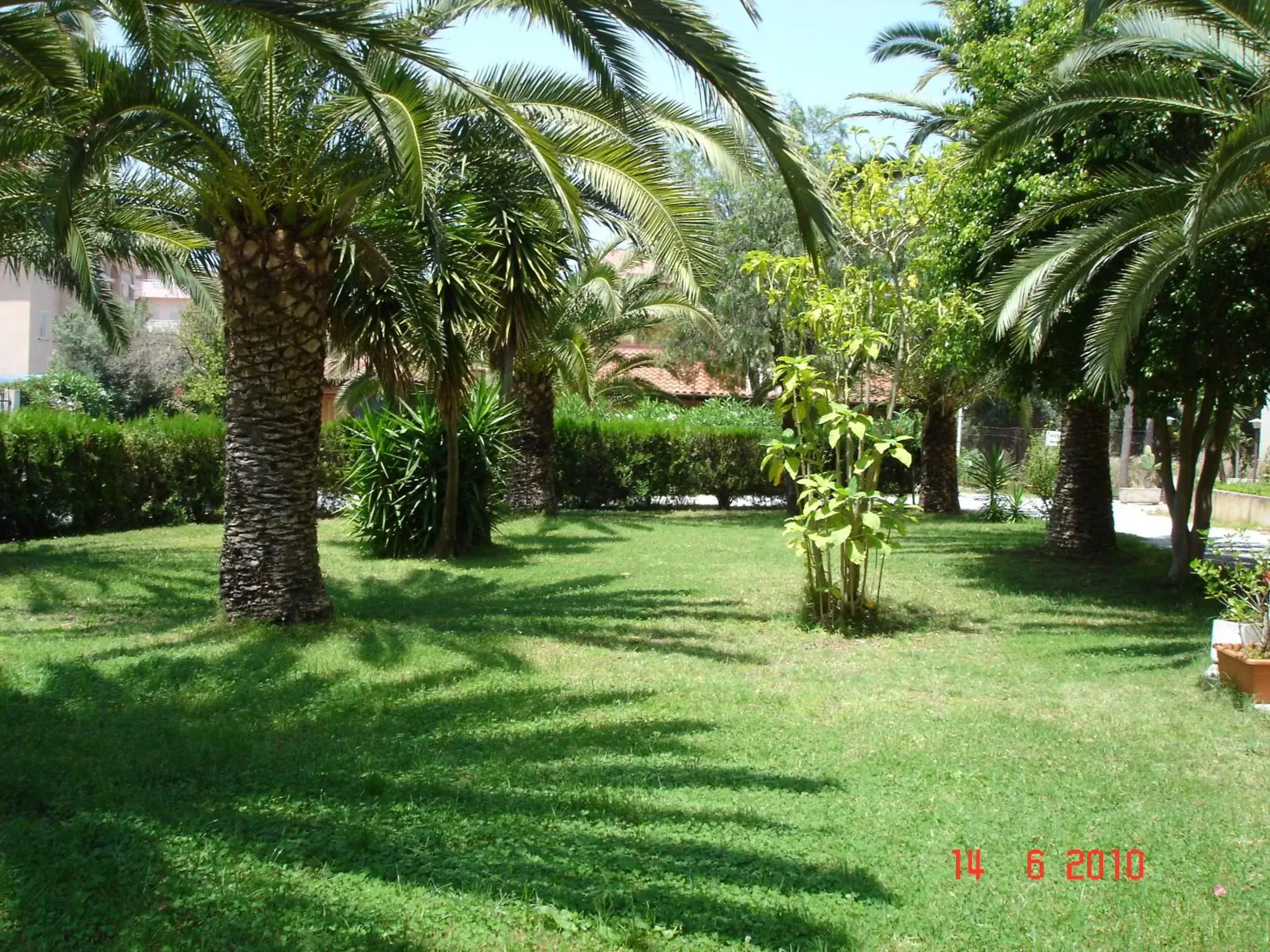 Day, Garden in Hotel Marinella