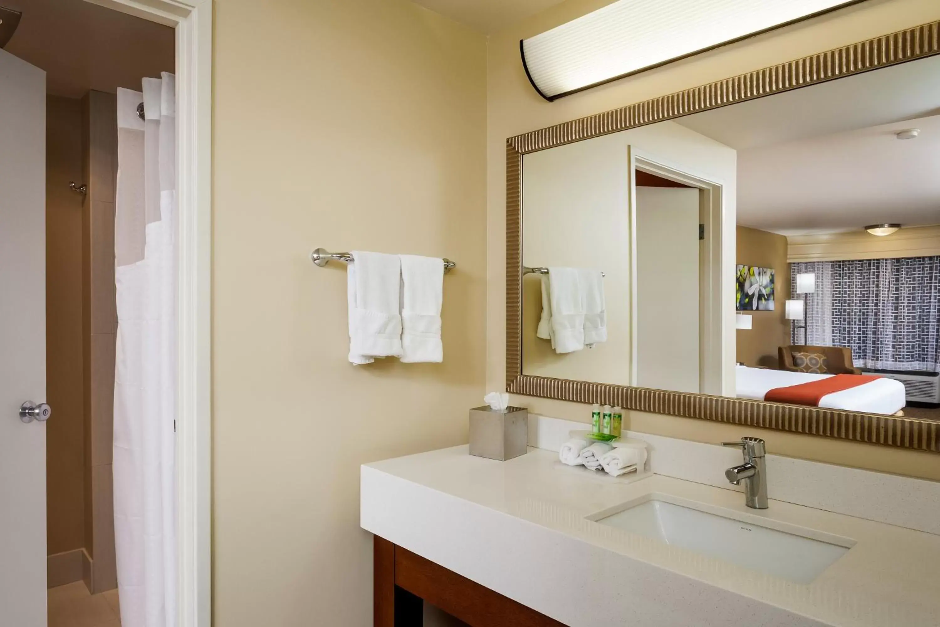 Bathroom in Holiday Inn Express Simi Valley, an IHG Hotel