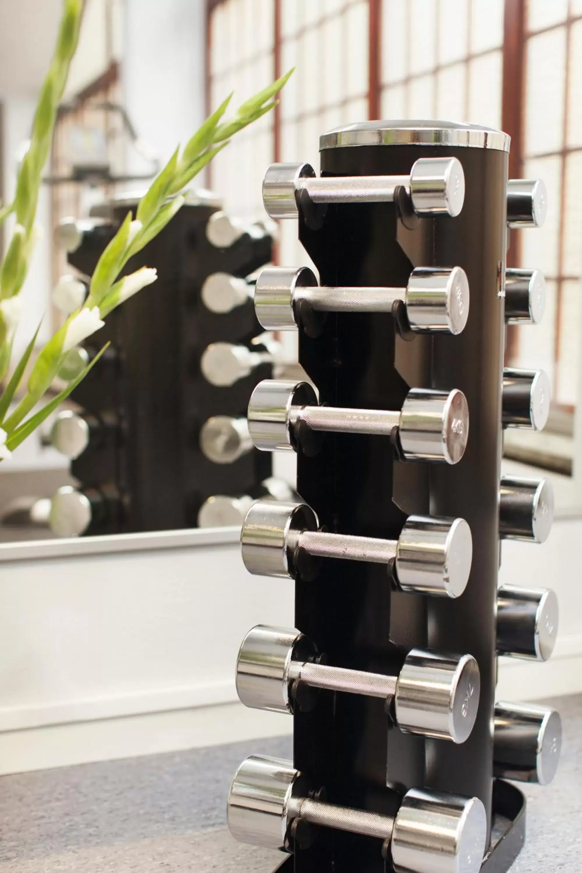 Fitness centre/facilities, Fitness Center/Facilities in Elite Stora Hotellet