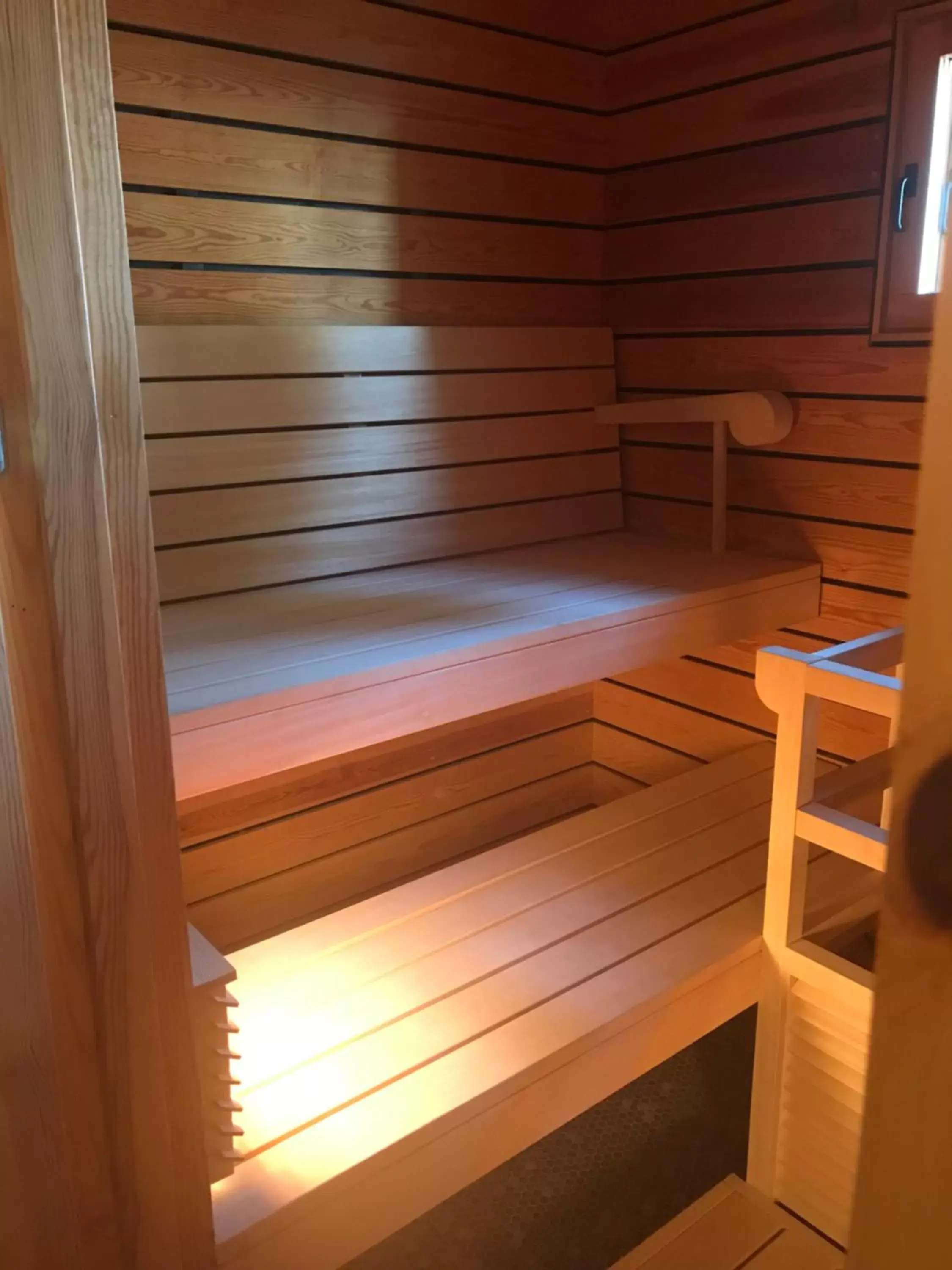 Sauna in Centro Hotel Turku