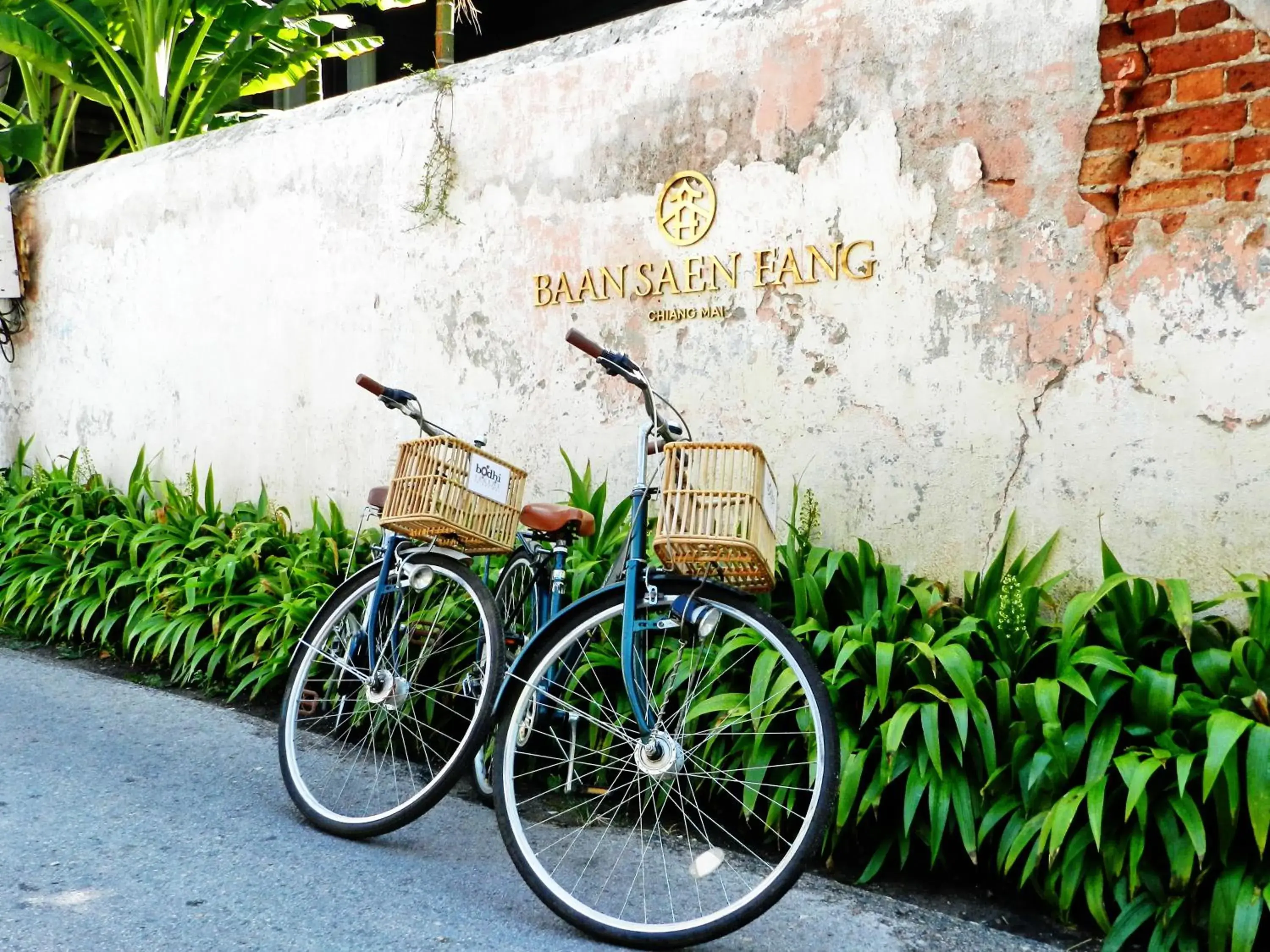 Cycling in Baan Saen Fang Chiang Mai - SHA Plus