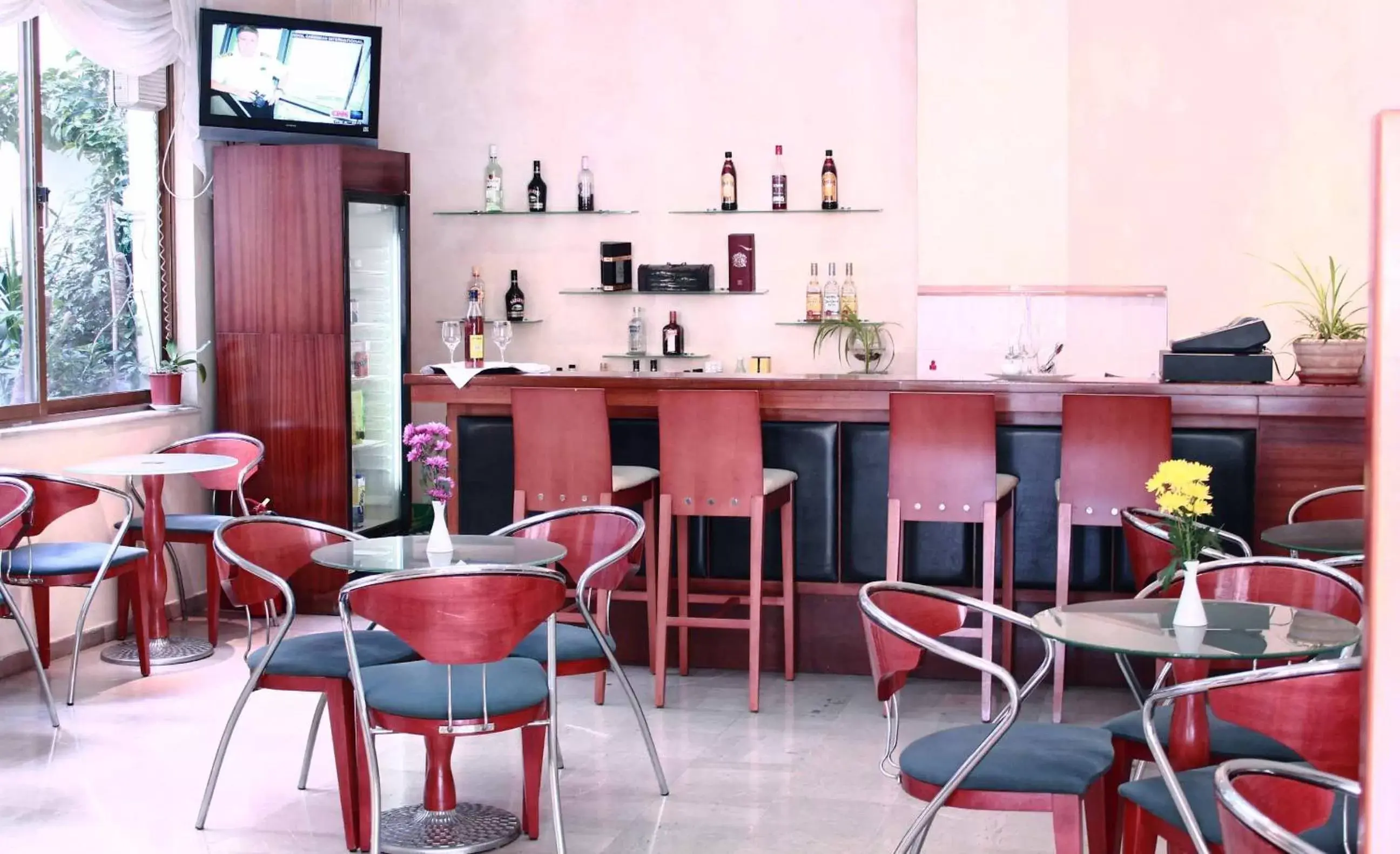 Lounge or bar, Restaurant/Places to Eat in Apollo Hotel