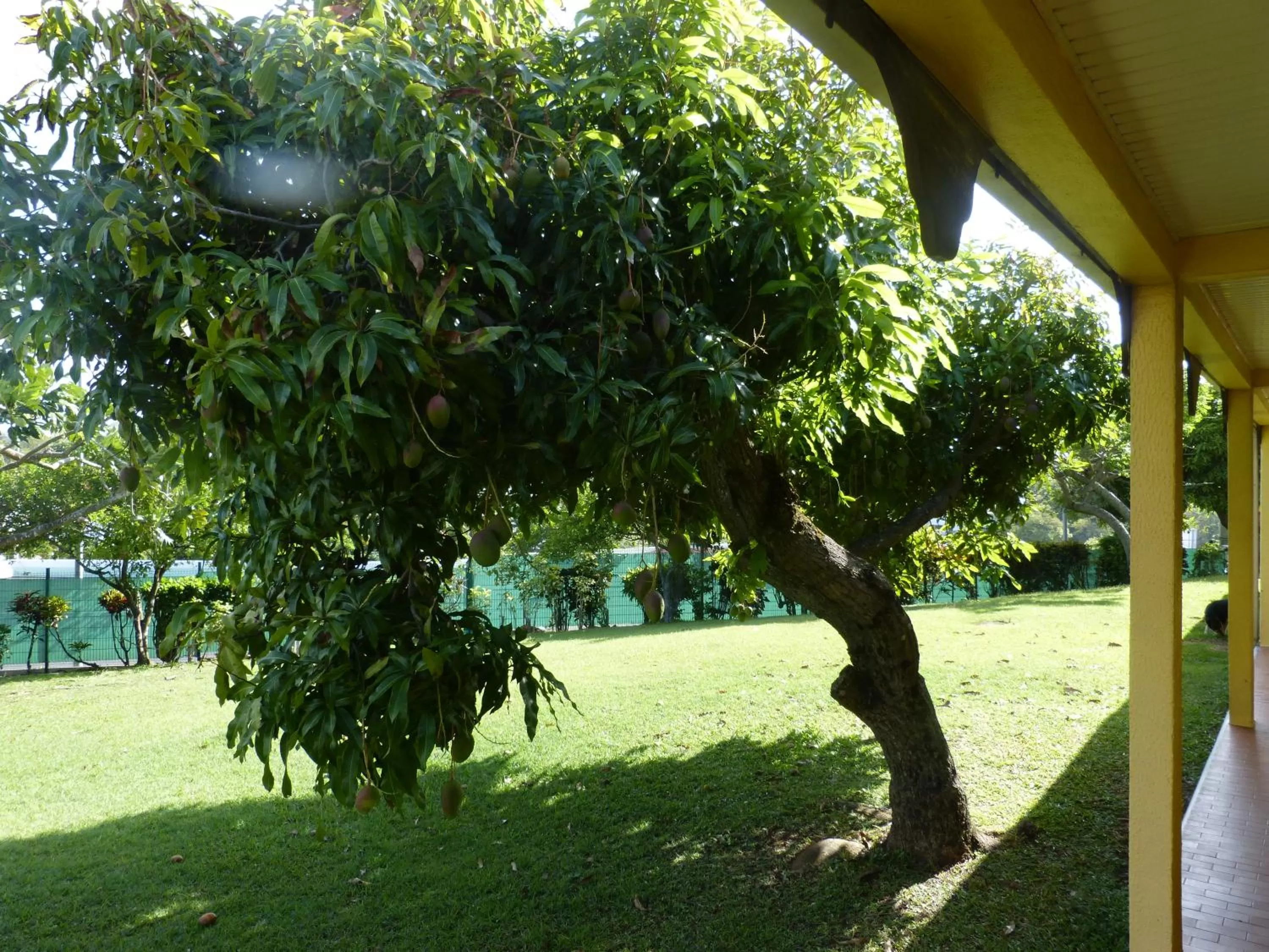 Garden in Airport Hotel