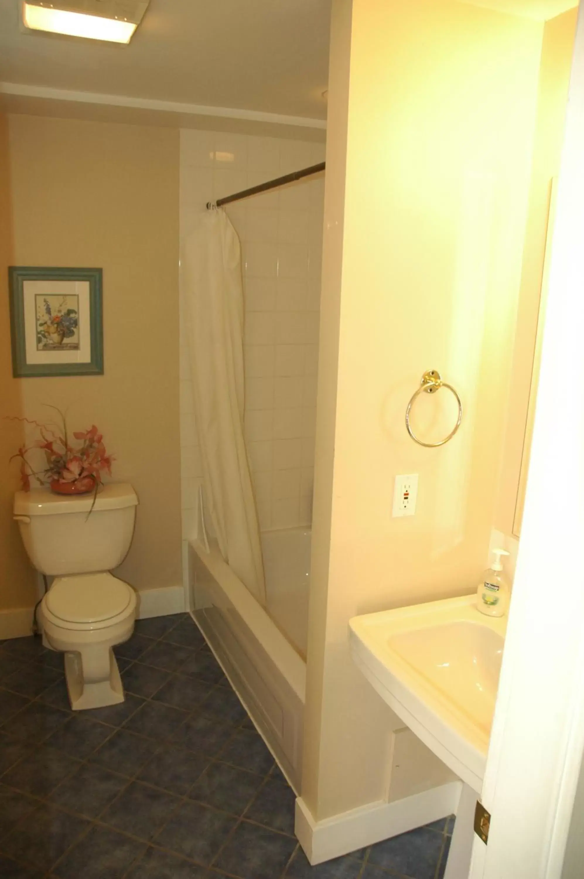 Bathroom in Douglas Guest House