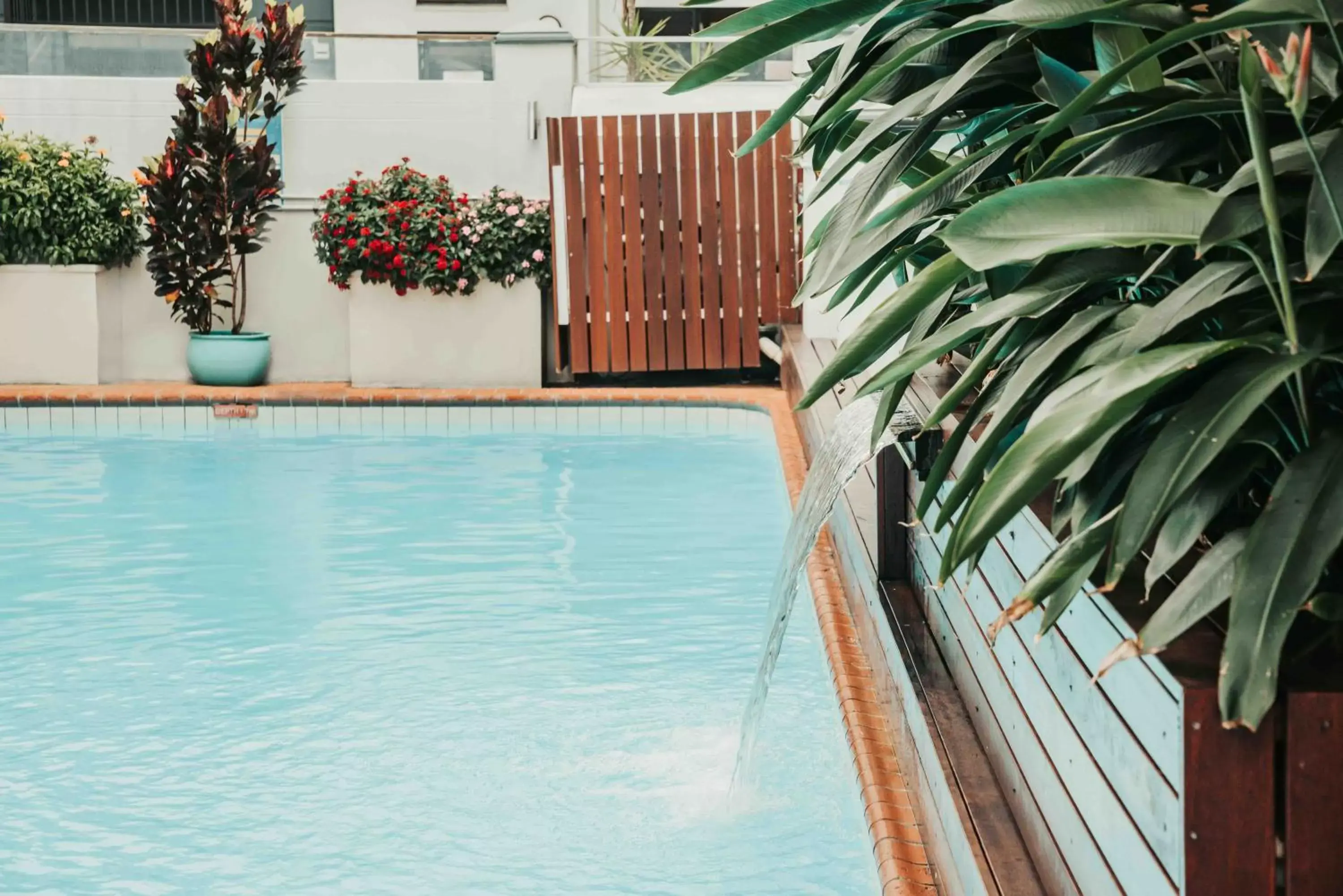 Swimming Pool in Cairns Queens Court