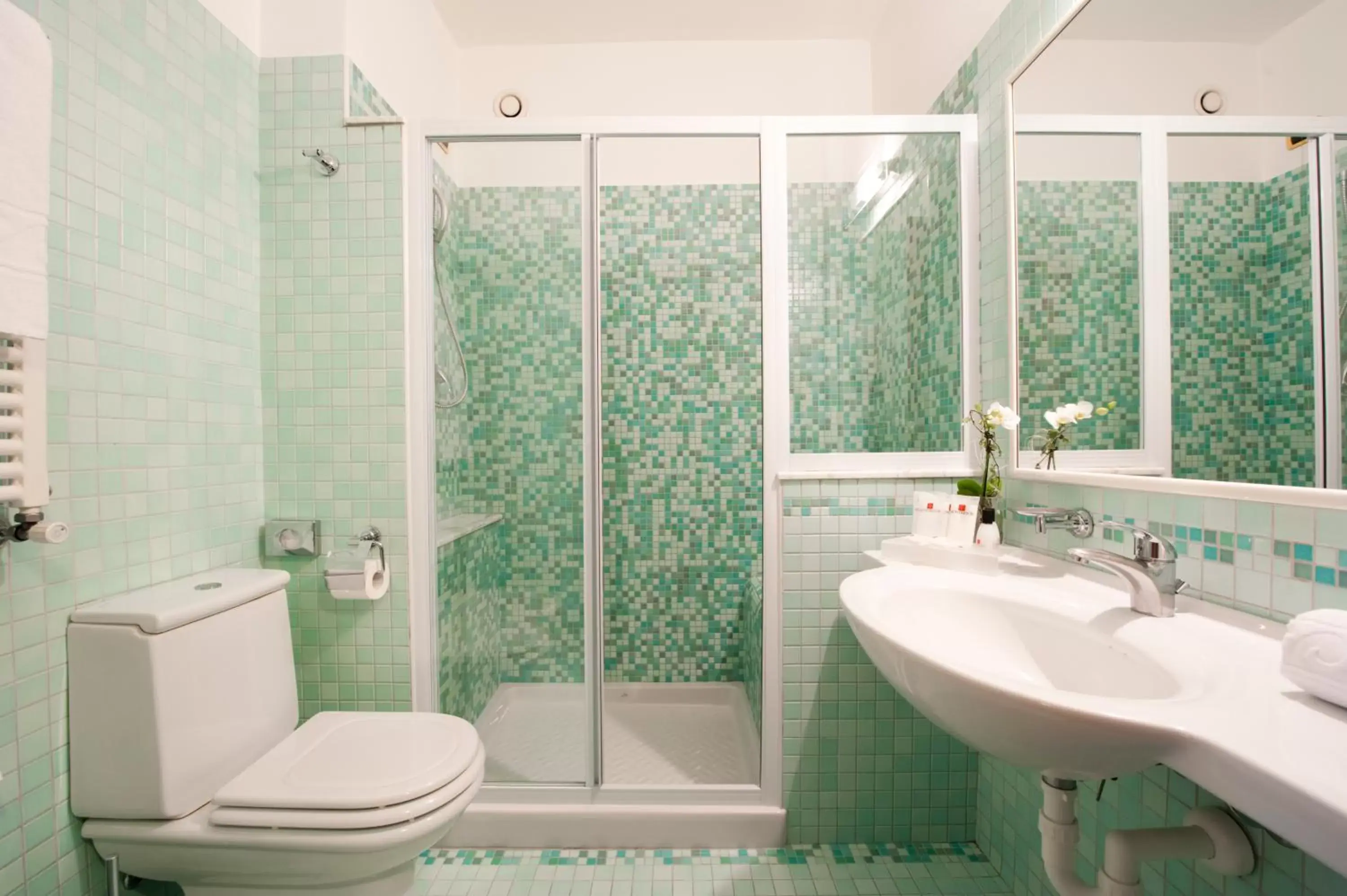 Bathroom in Hotel Palace Verona