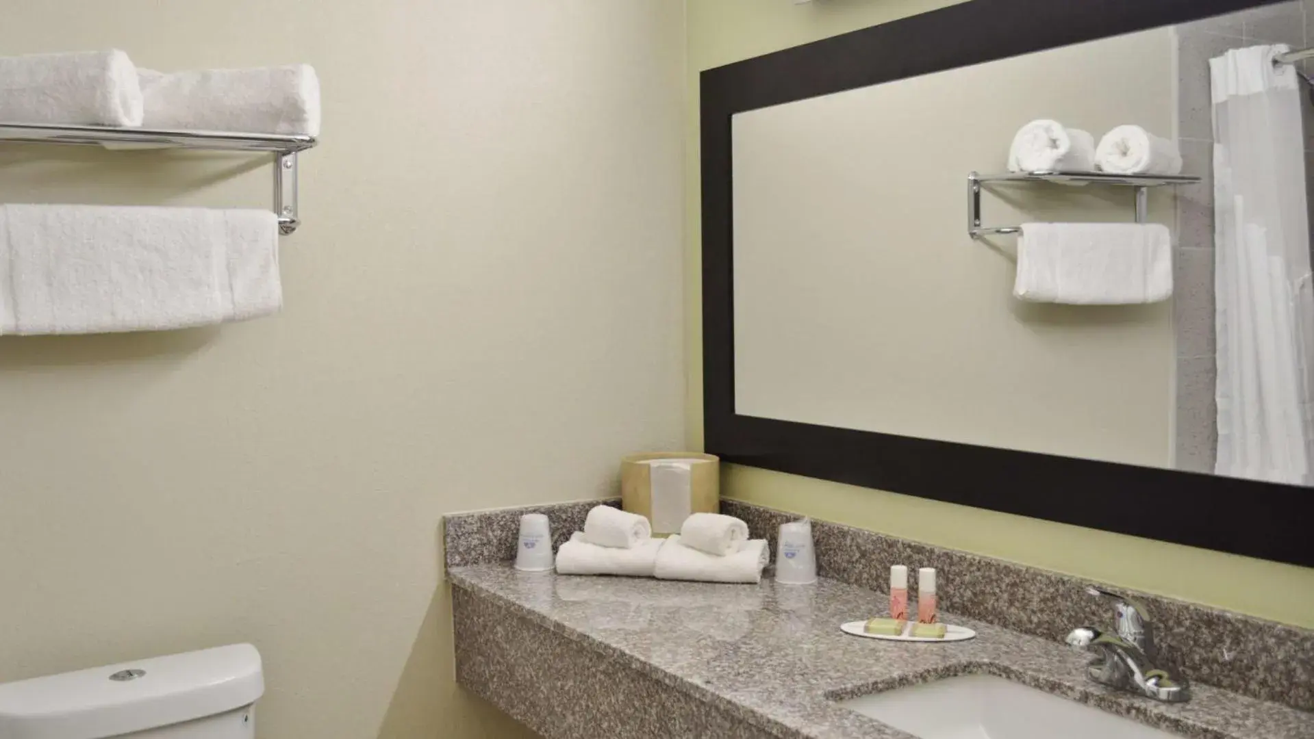 Bathroom in America's Best Value Inn - Memphis Airport