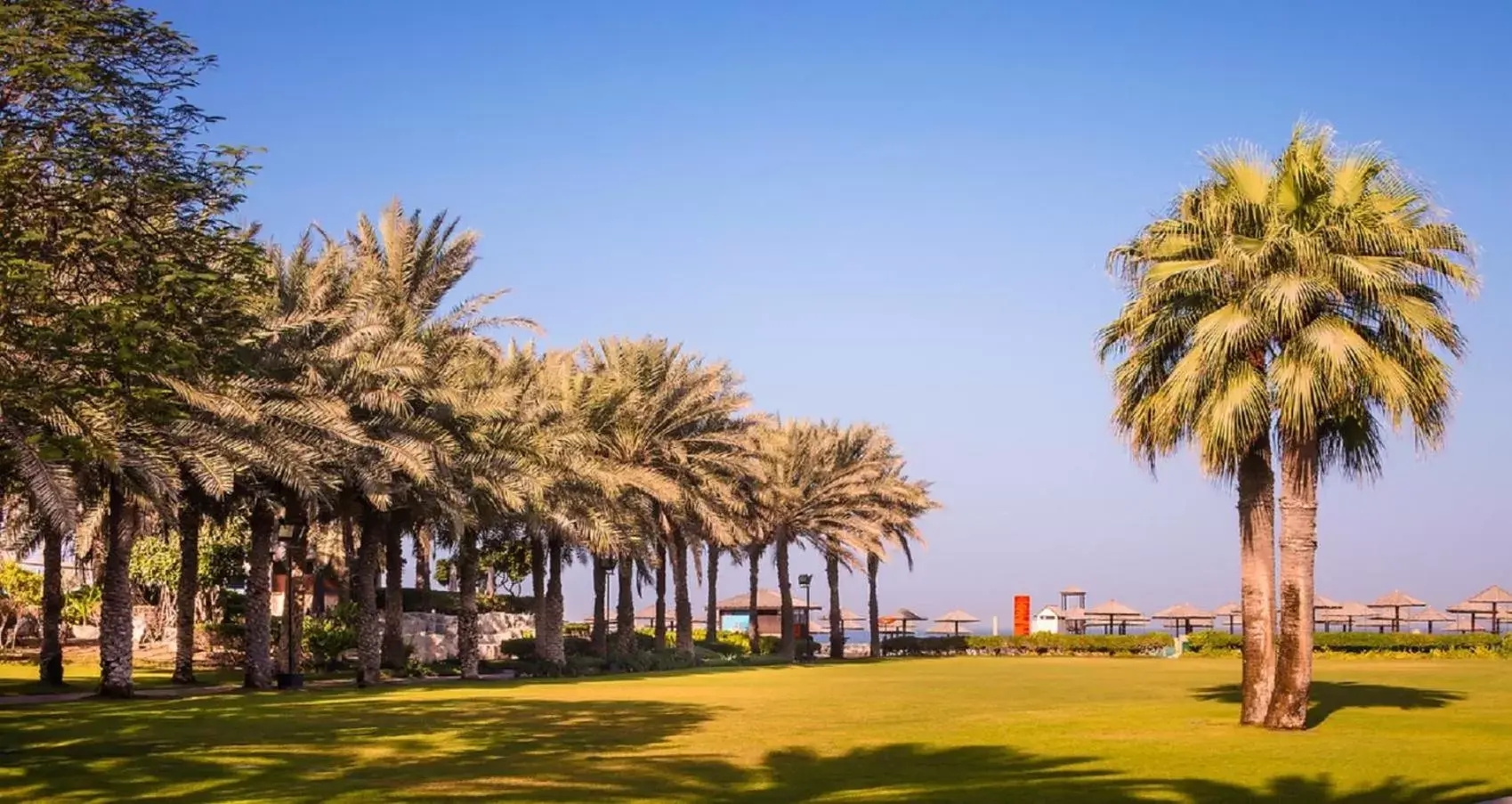Garden in Coral Beach Resort Sharjah
