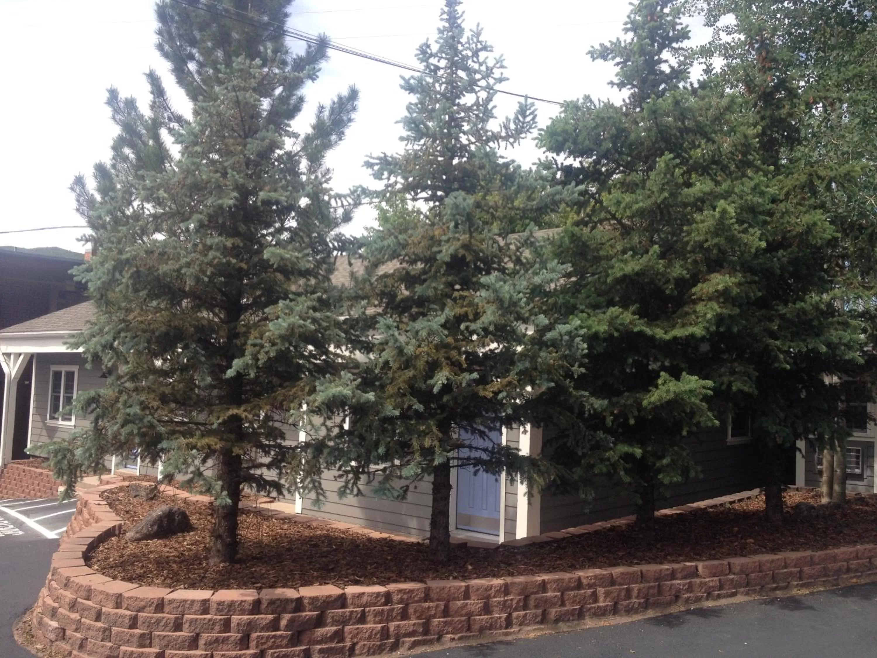 Facade/entrance, Garden in Basalt Mountain Inn