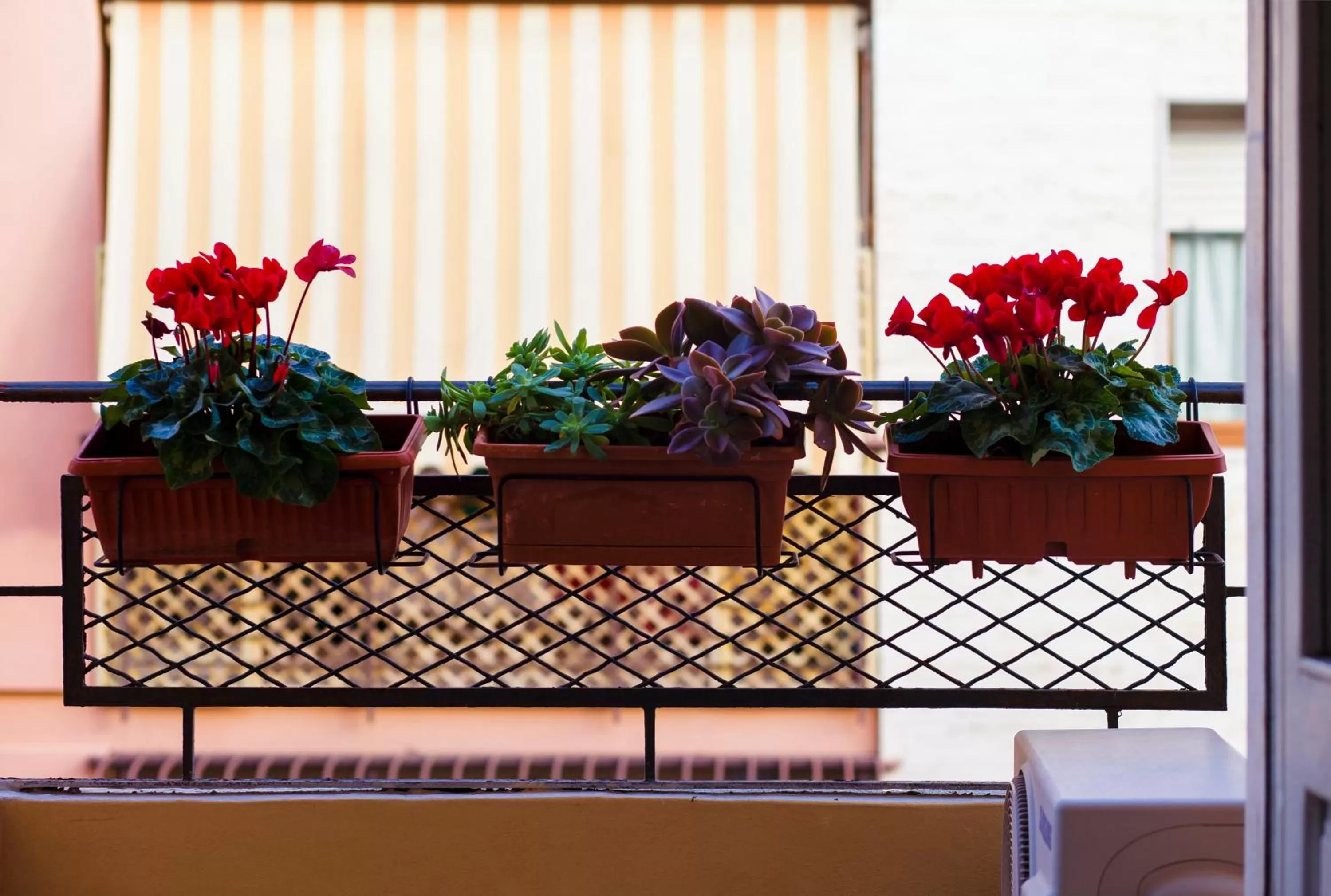 Sweet Rooms Cagliari