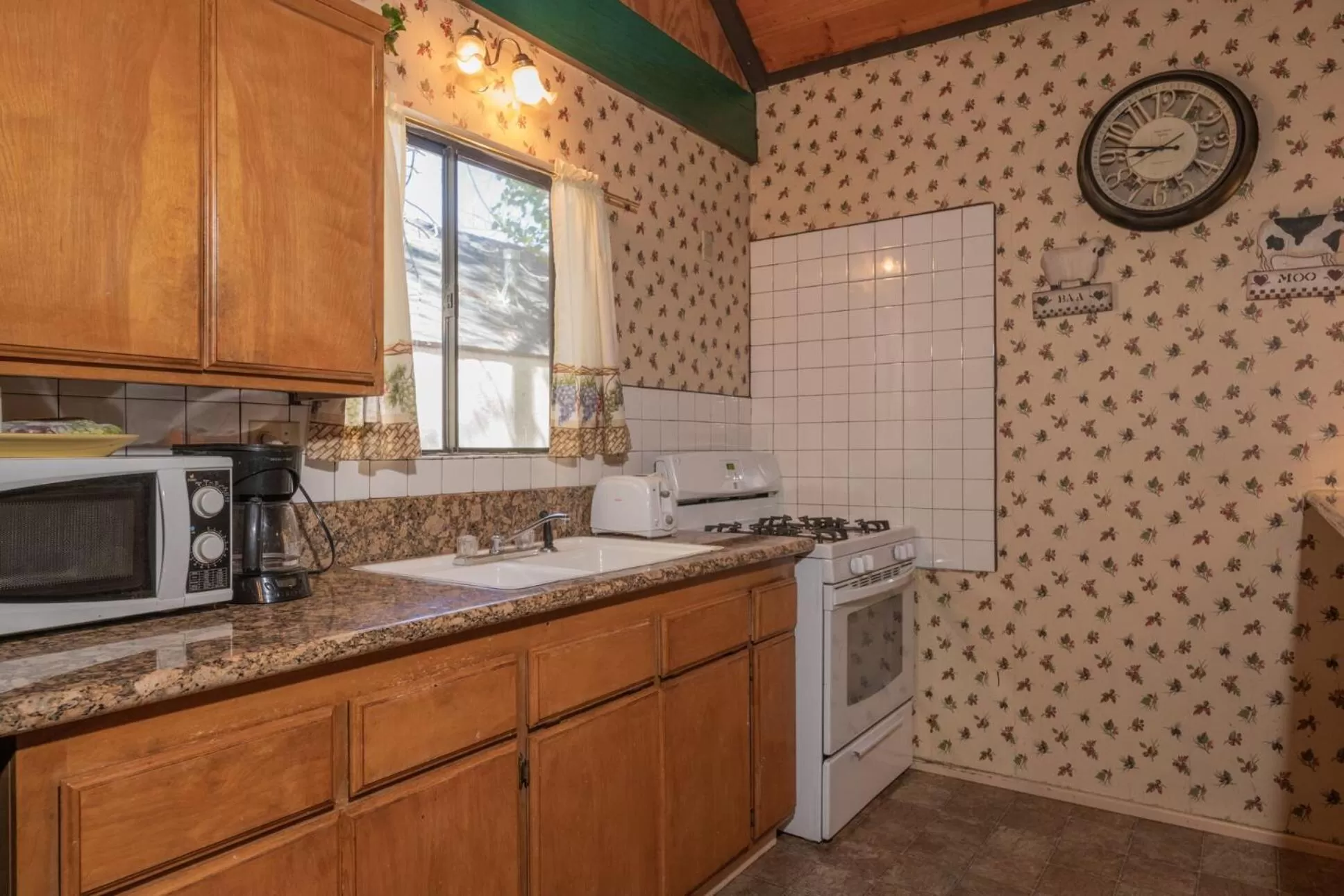 Kitchen or kitchenette in Black Forest Lodge