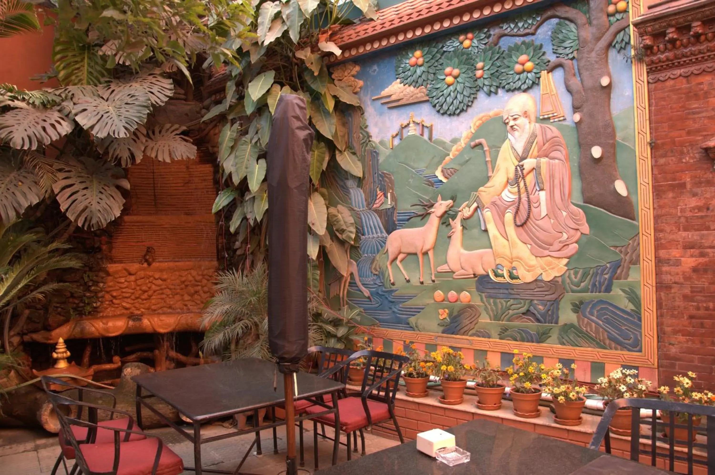 Garden, Restaurant/Places to Eat in Tibet Guest House