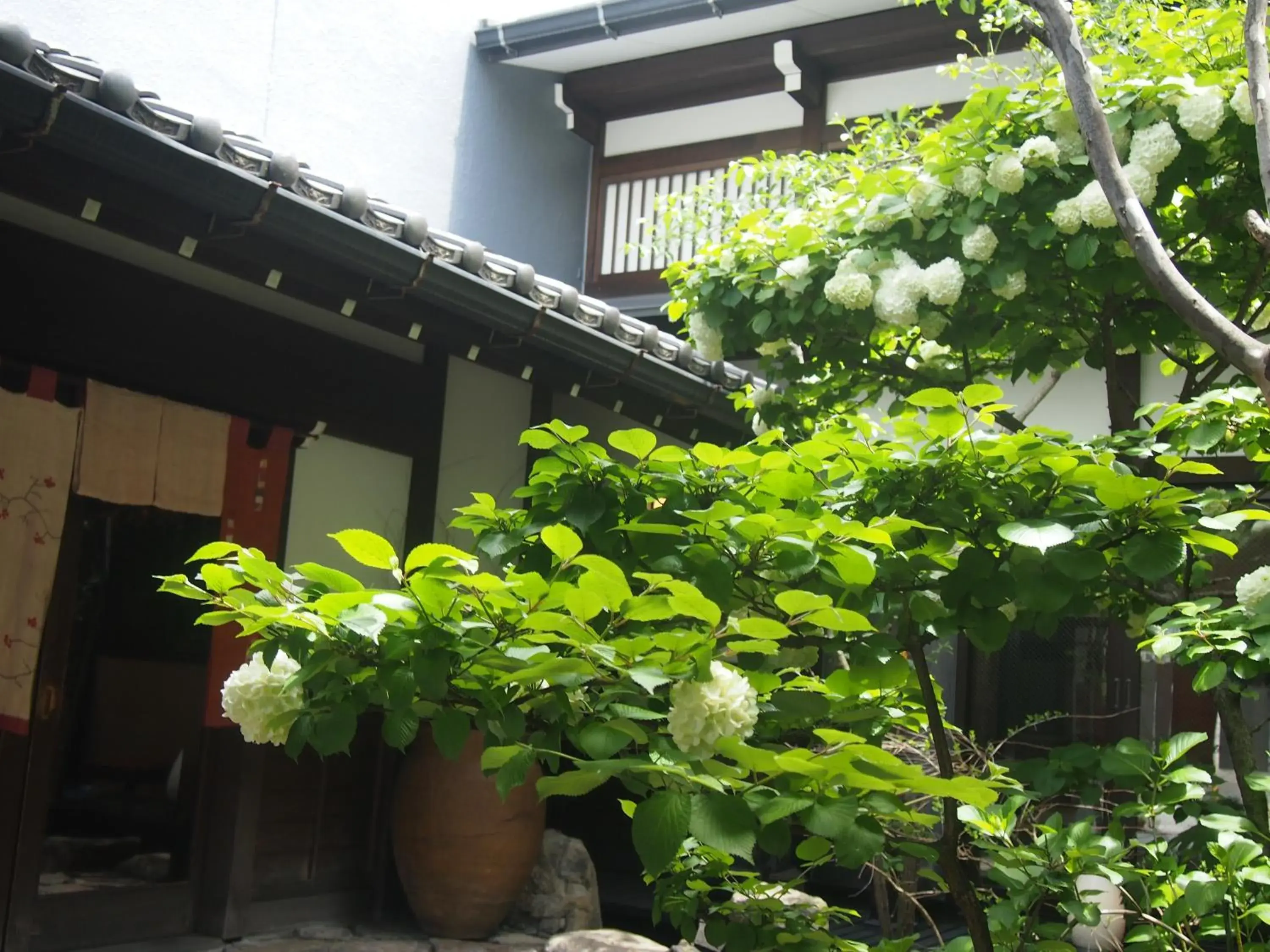 Spring, Property Building in Ryokan Oyado Koto No Yume