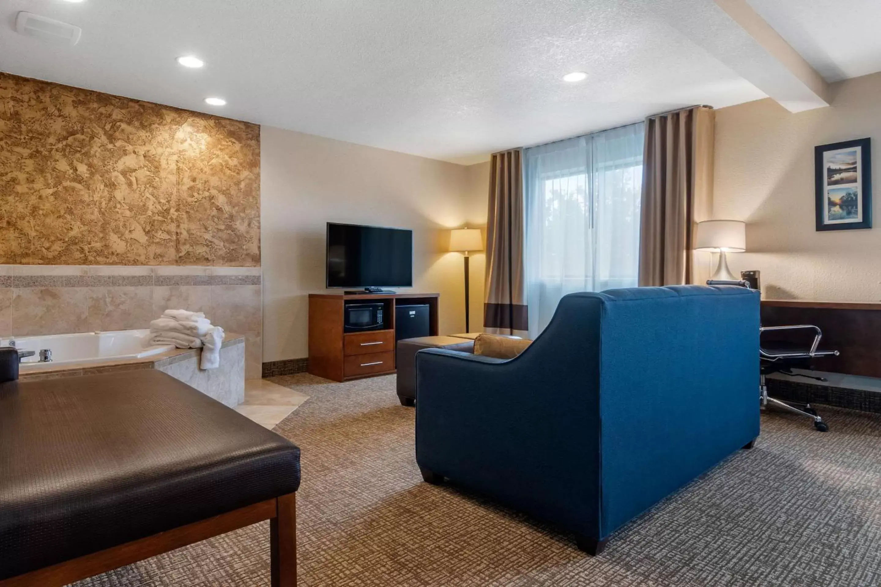 Photo of the whole room, Seating Area in Comfort Inn & Suites South Hill I-85