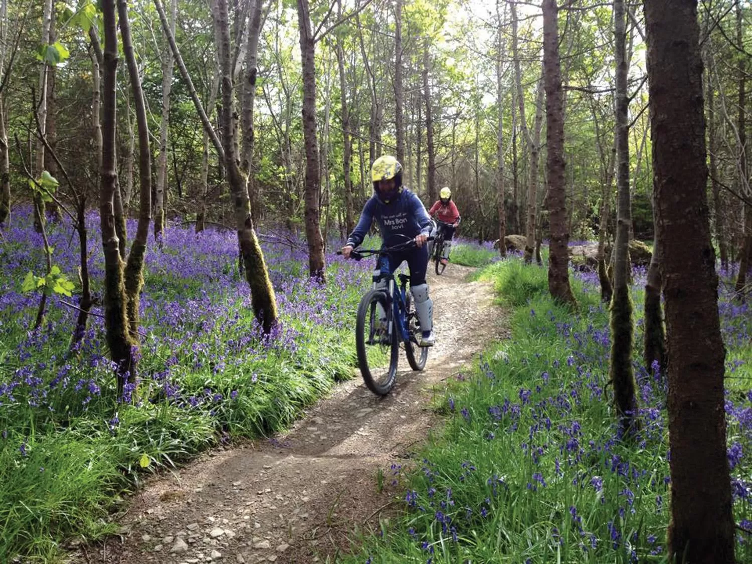 Nearby landmark in County Arms Birr