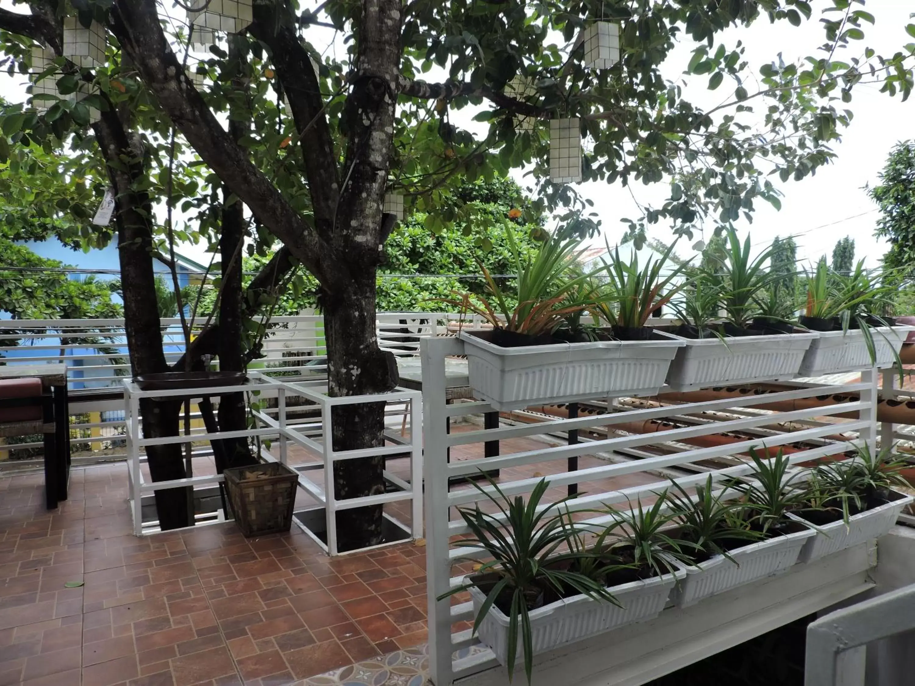 Balcony/Terrace in Orange Mangrove Pension House