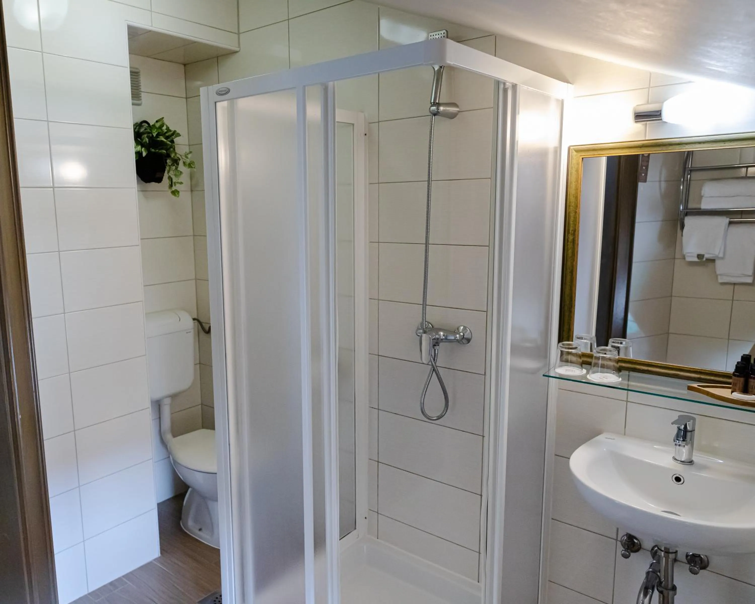 Shower in Hotel Piran