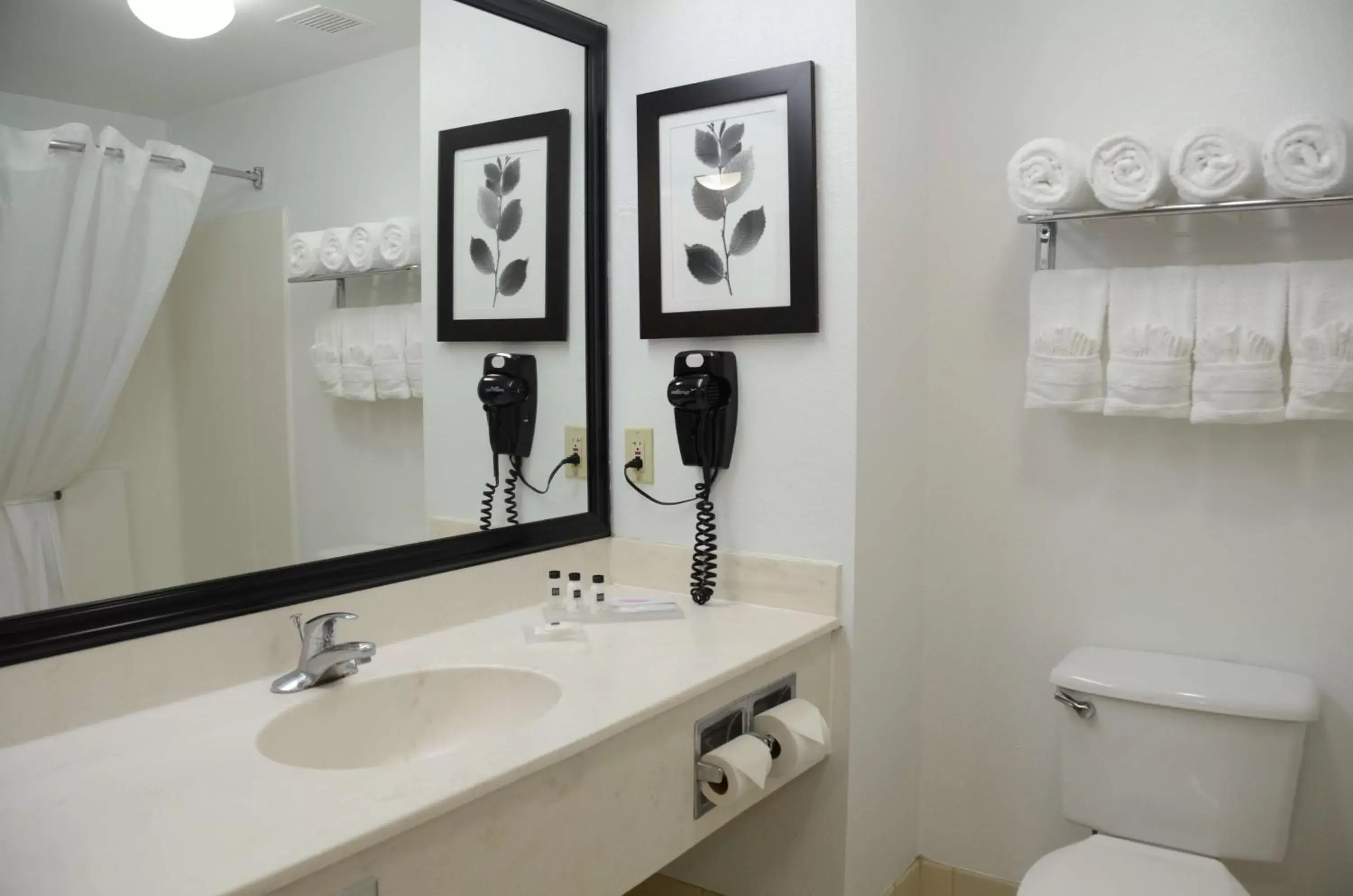 Bathroom in Country Inn & Suites by Radisson, Jacksonville, FL