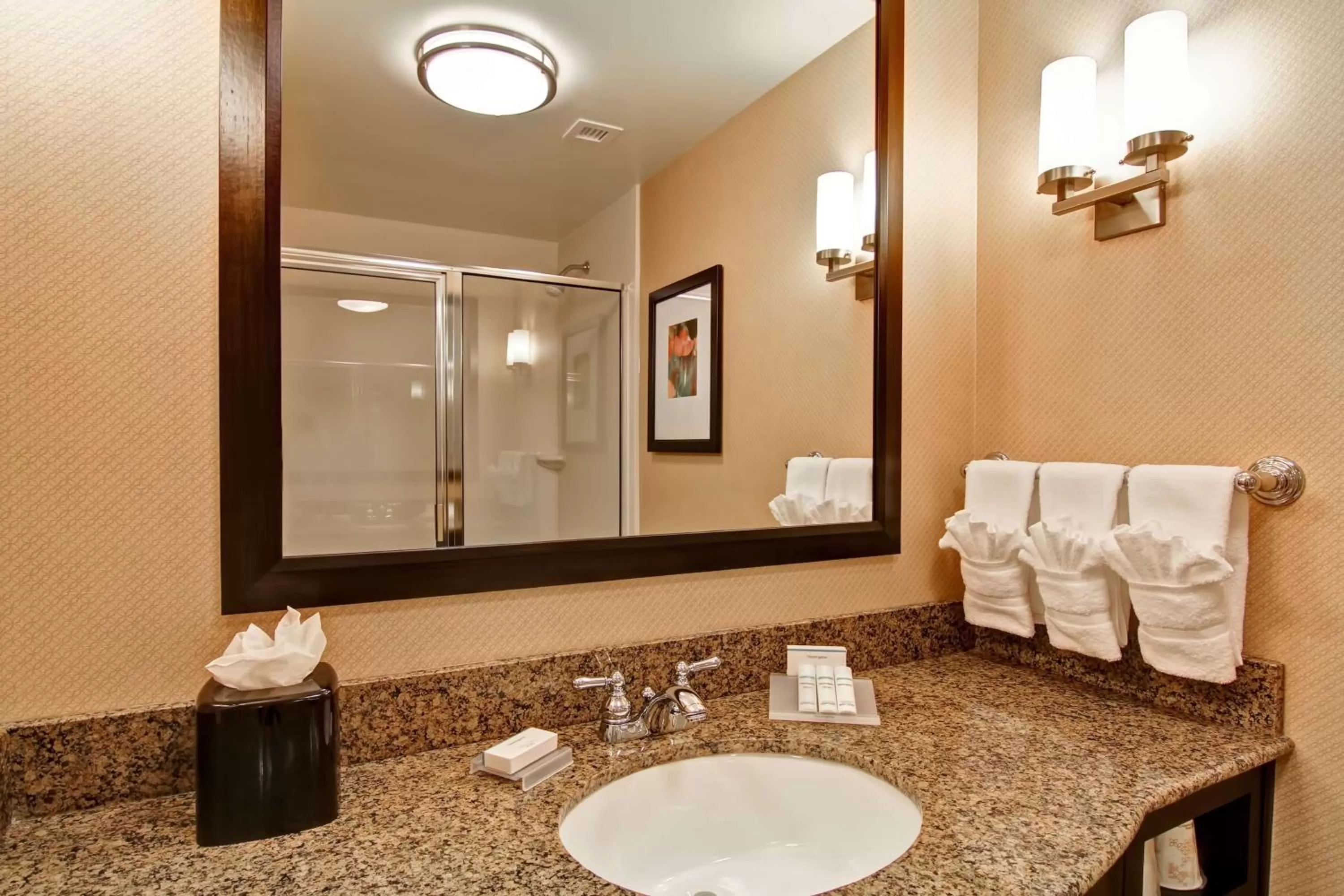 Bathroom in Hilton Garden Inn Woodbridge