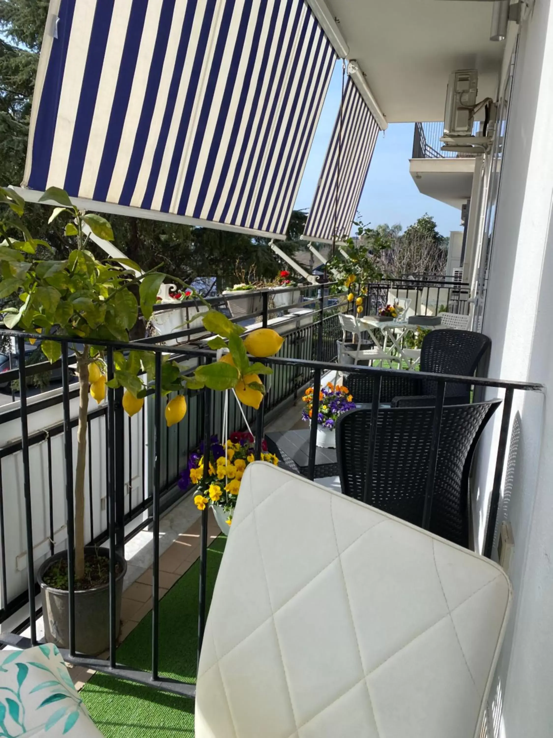 Balcony/Terrace in Maison De luxe