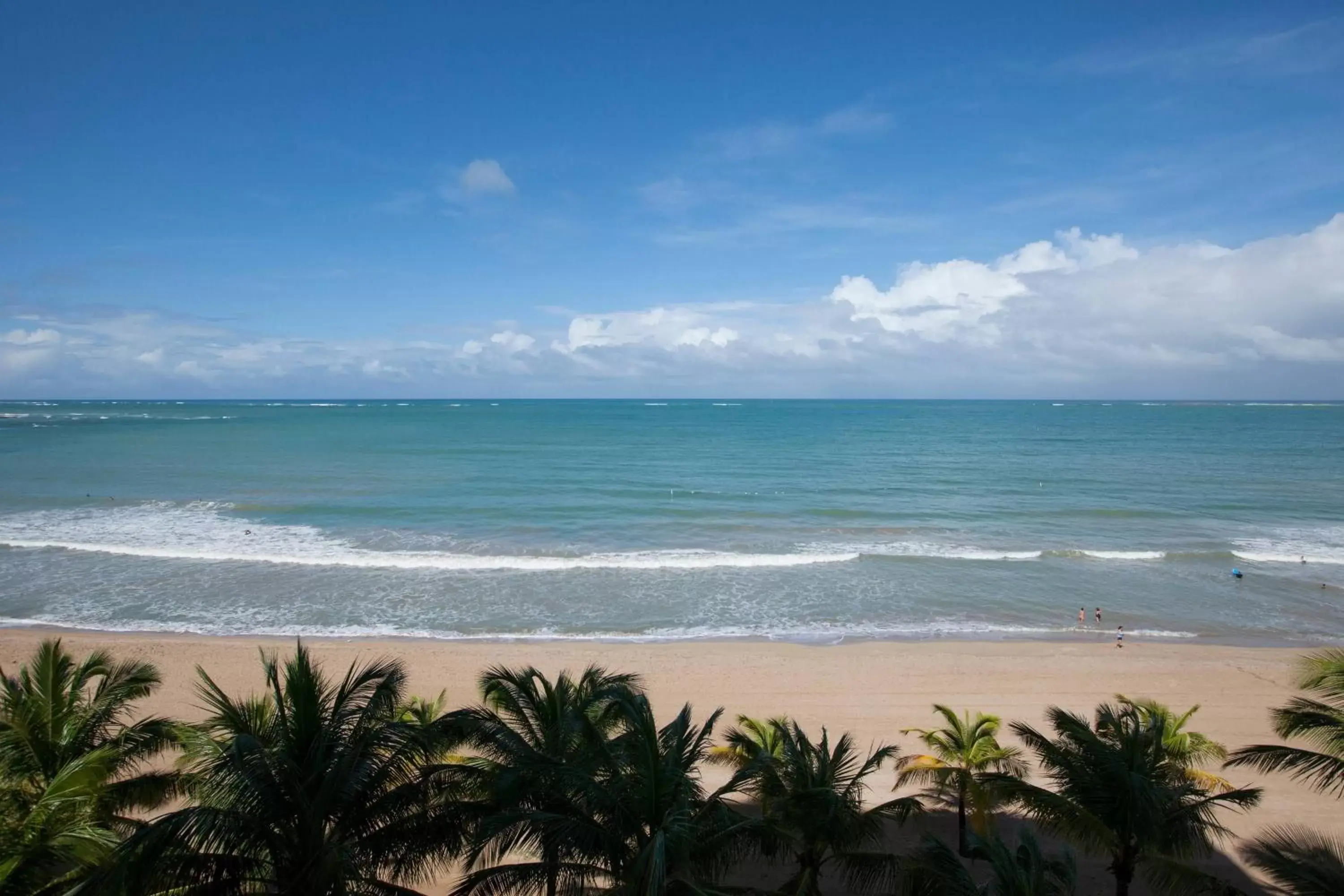 Photo of the whole room, Beach in Courtyard by Marriott Isla Verde Beach Resort