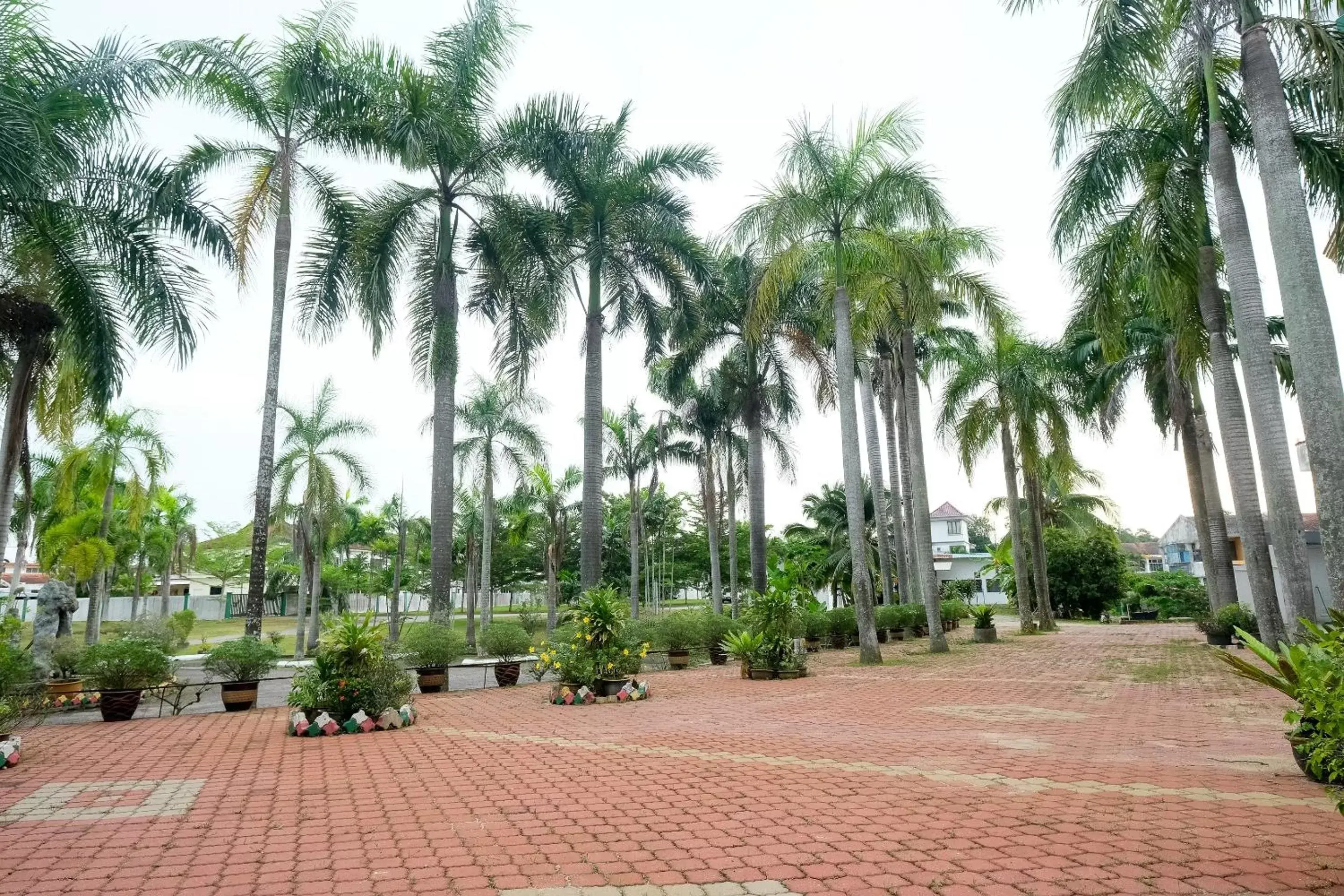 Other, Garden in Super OYO 1236 Hotel Green Park