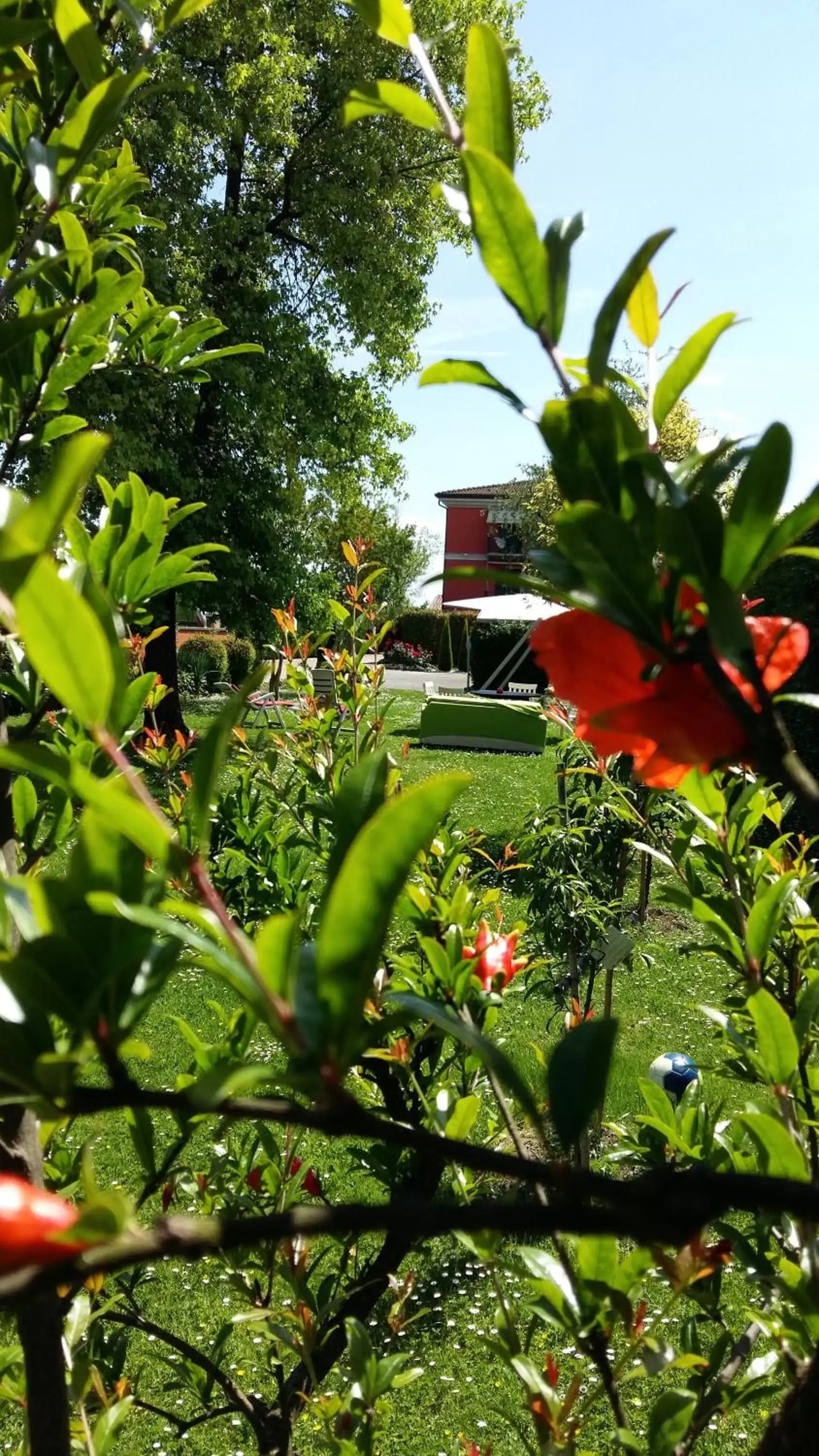 Property building, Garden in La Casa di Linda