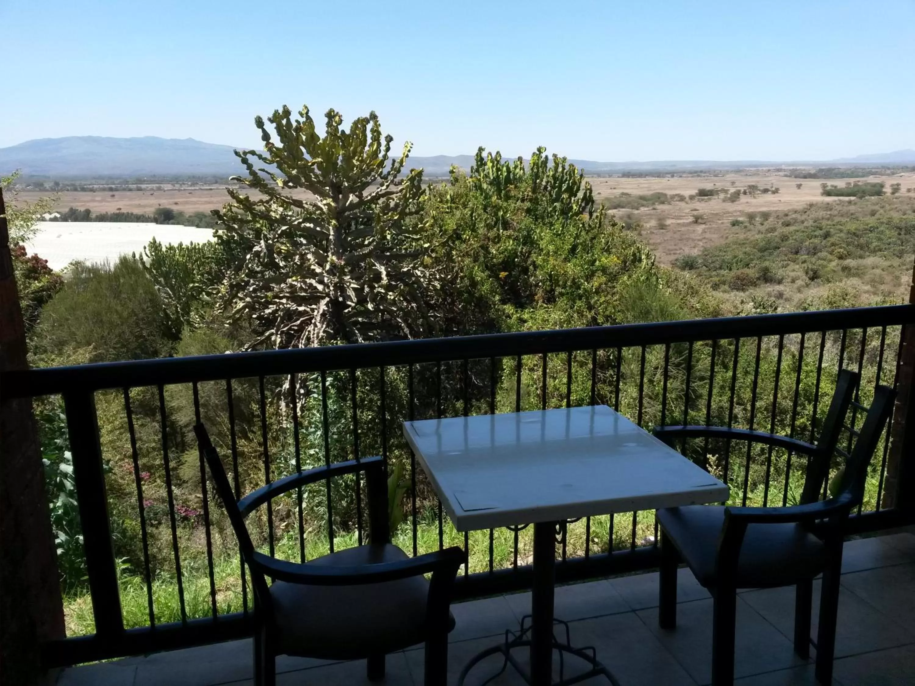 View (from property/room) in Mwanzo Lodge