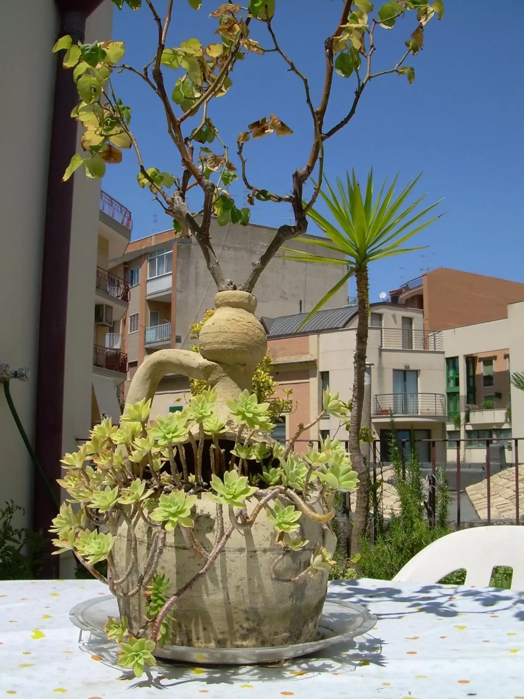 Balcony/Terrace, Property Building in Albergo Roma