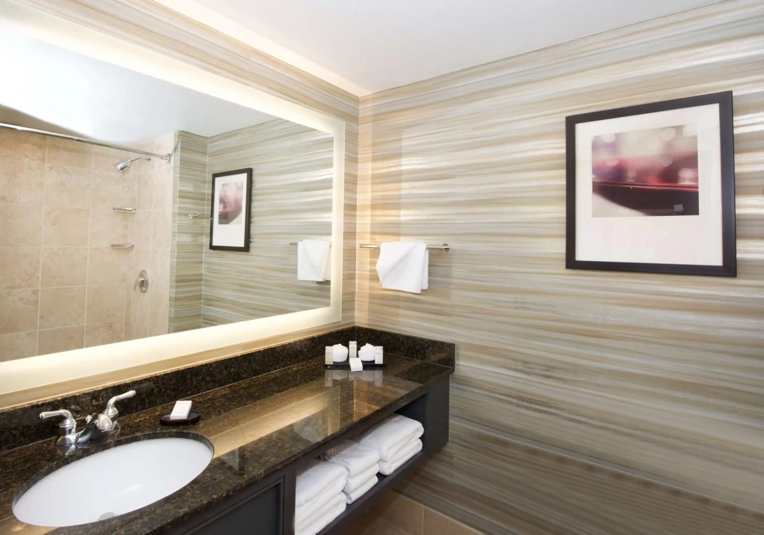 Bathroom in Embassy Suites by Hilton Walnut Creek