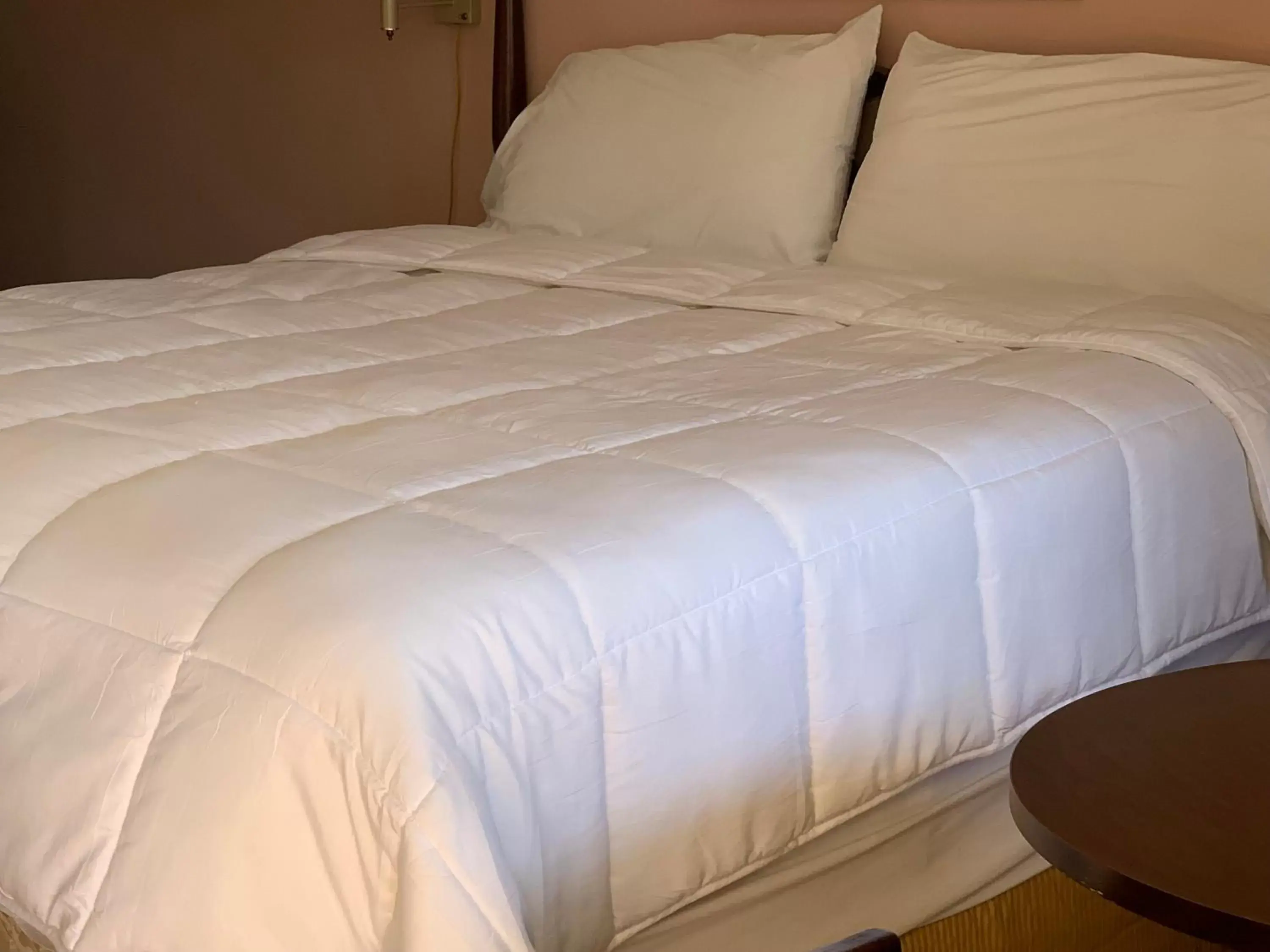 Bedroom, Bed in Red Carpet Inn - Gettysburg