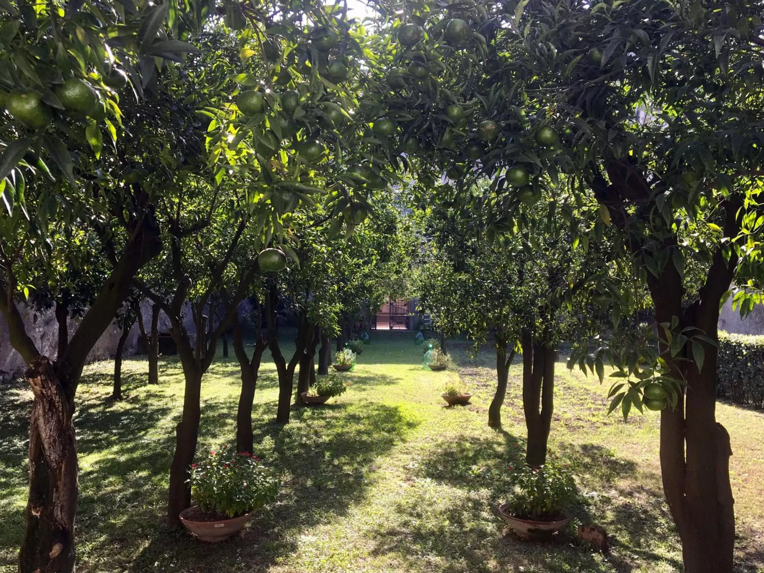 Garden in Palazzo Benucci - Residenza di Charme