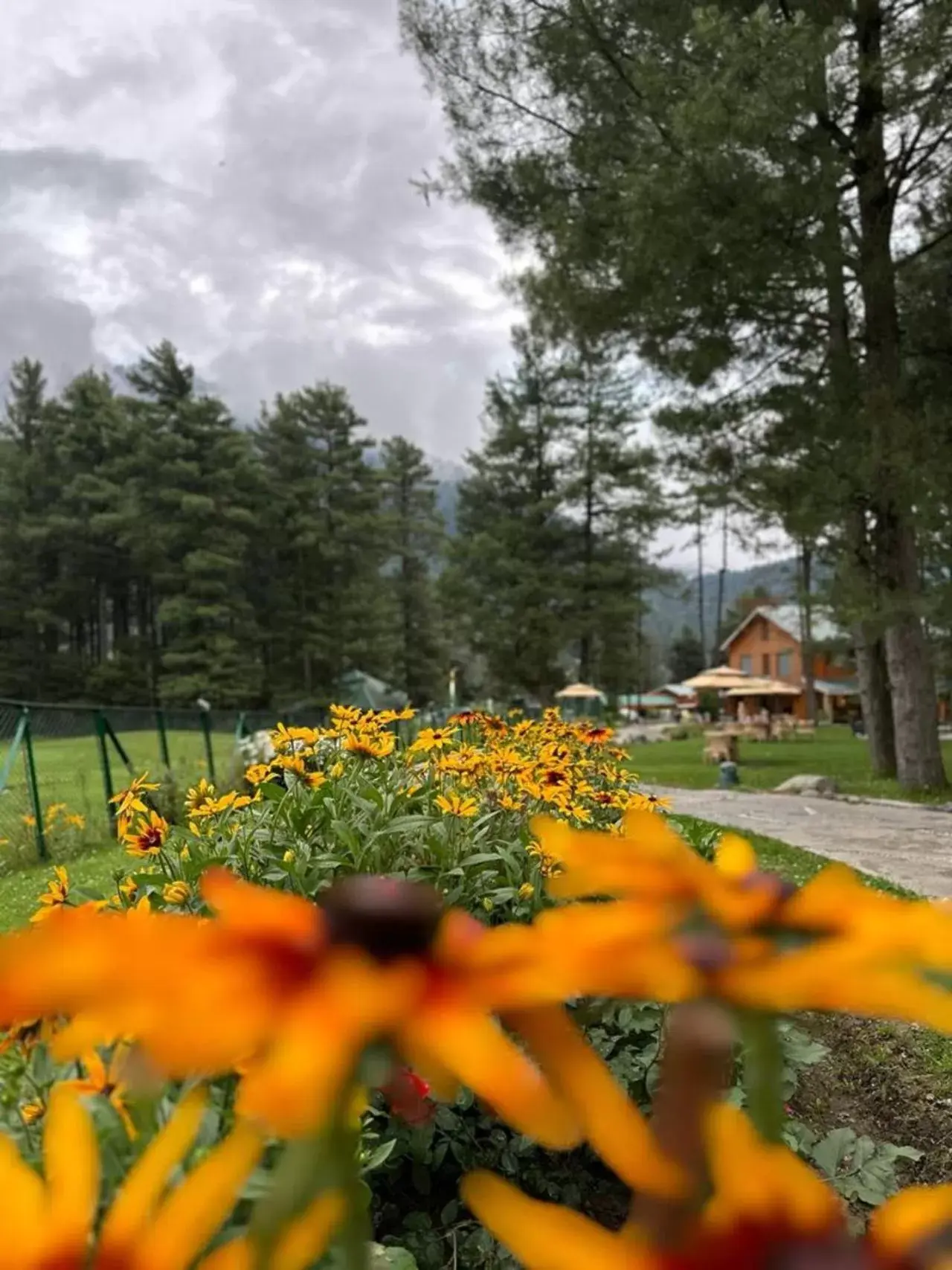 Garden in Radisson Golf Resort Pahalgam