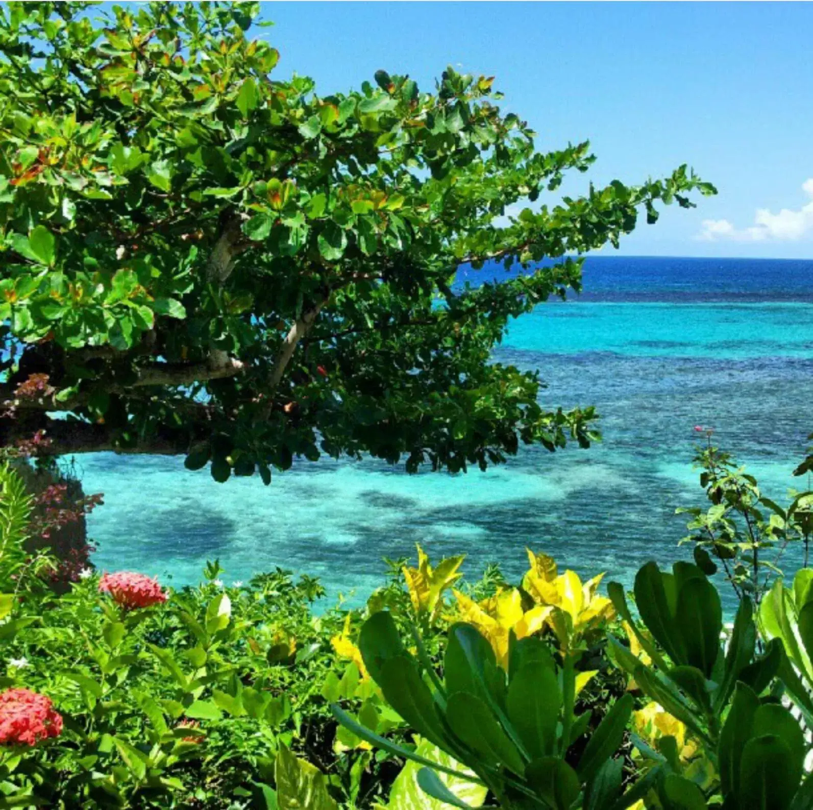 Sea view in Hibiscus Lodge Hotel